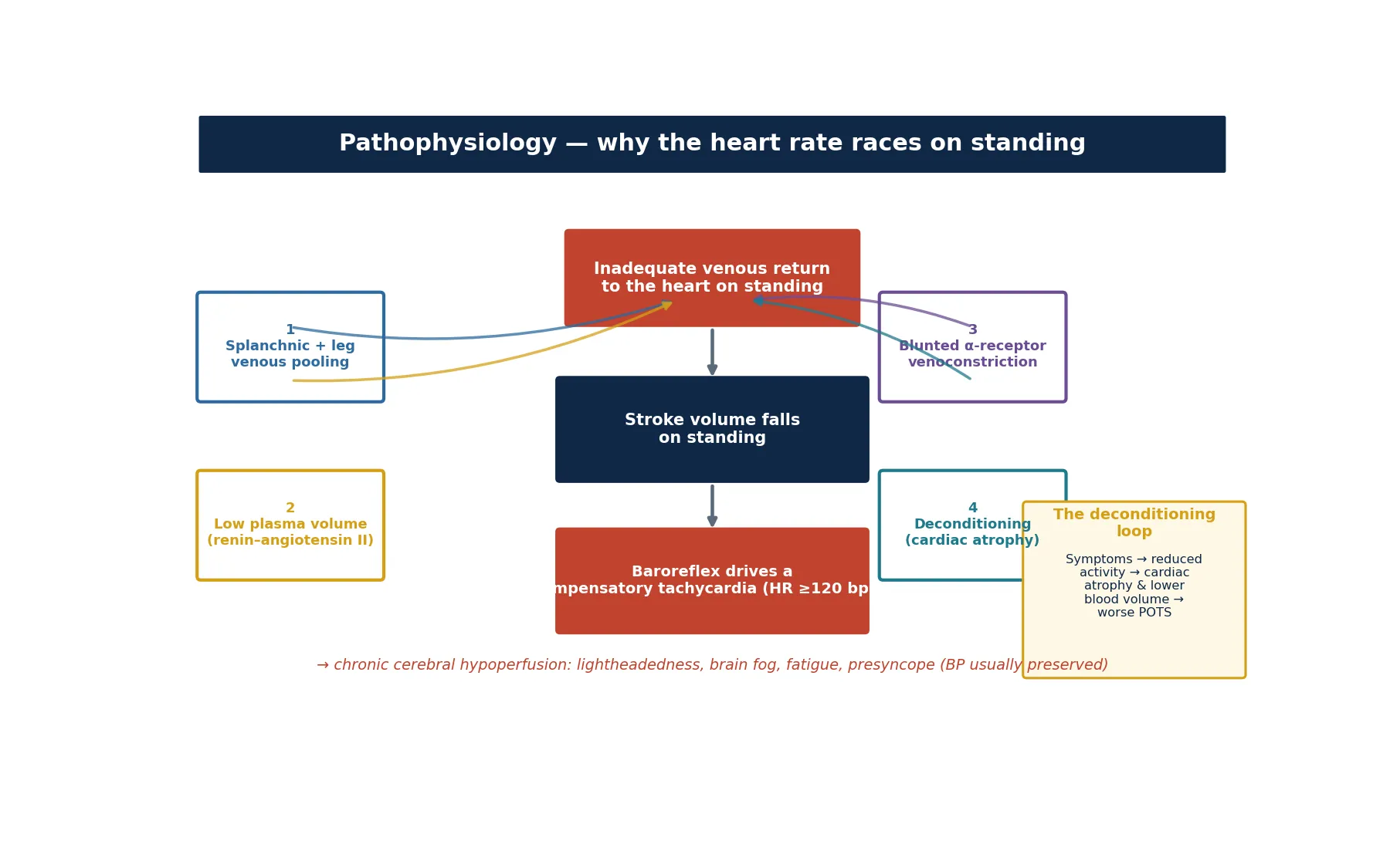 Educational mechanism schematic showing the cascade from maternal anti-Ro/SSA antibodies crossing the placenta through binding and damage of the fetal AV node, fibrosis, complete atrioventricular block, and a slow junctional or ventricular escape rhythm, with a panel of the other causes of paediatric AV block (post-surgical, channelopathy, myocarditis, drugs) and a key-fact box on the escape rhythm