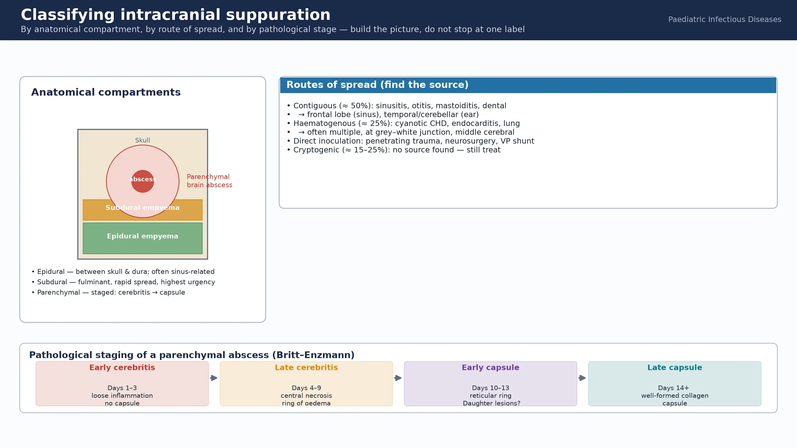 Educational schematic classifying intracranial suppuration by anatomical compartment (epidural, subdural, parenchymal), by route of spread (contiguous, haematogenous, direct inoculation, cryptogenic), and by the Britt-Enzmann pathological staging from early cerebritis to late capsule