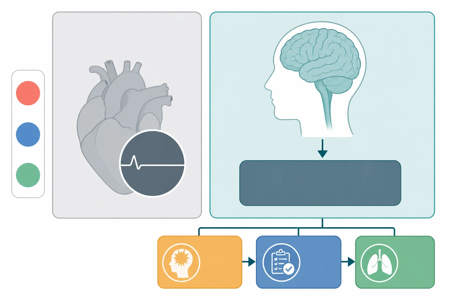 A clean medical-education schematic on a white background showing two large colour-coded panels for the two categories of death, a grey panel for circulatory death with a stopped heart and a flat line, and a teal panel for death by neurological criteria with a head silhouette containing a brain and brainstem and a downward arrow into a dark box representing irreversible loss of all brain and brainstem function. Below the teal panel a horizontal three-step pathway of amber, blue and green rounded boxes shows establish irreversible catastrophic brain injury, exclude and correct confounders, and clinical examination with apnoea testing. A side strip of three coloured dots indicates the age bands of neonate, child and adult.