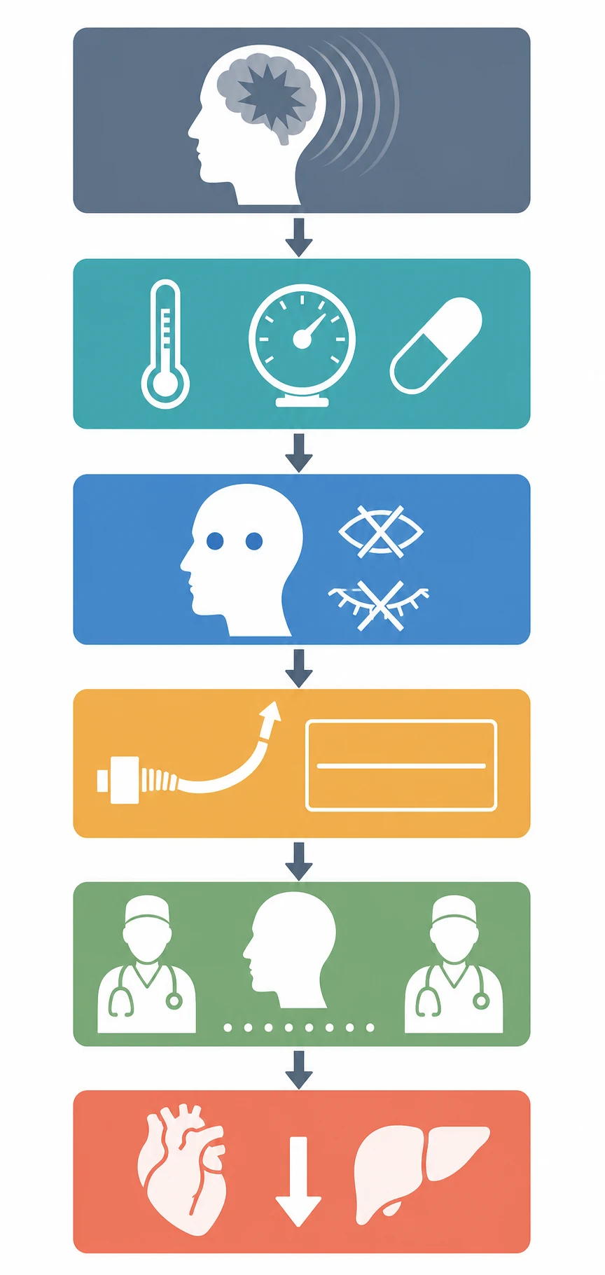 A clean medical-education flowchart on a white background showing a vertical cascade of six colour-coded rounded boxes connected by downward arrows for the stepwise determination of brain death and the organ donation pathway. Box one slate shows a head silhouette with an expanding injury. Box two teal shows a thermometer, a blood pressure gauge and a pill for the confounders. Box three blue shows a head silhouette with two flat circles for fixed pupils and absent reflex symbols. Box four amber shows a breathing tube with a flat respiratory trace for the apnoea test. Box five green shows two clinician figures beside the head for two examinations. Box six coral shows a heart and liver organ symbol with a downward arrow for the declaration of death and organ donation.