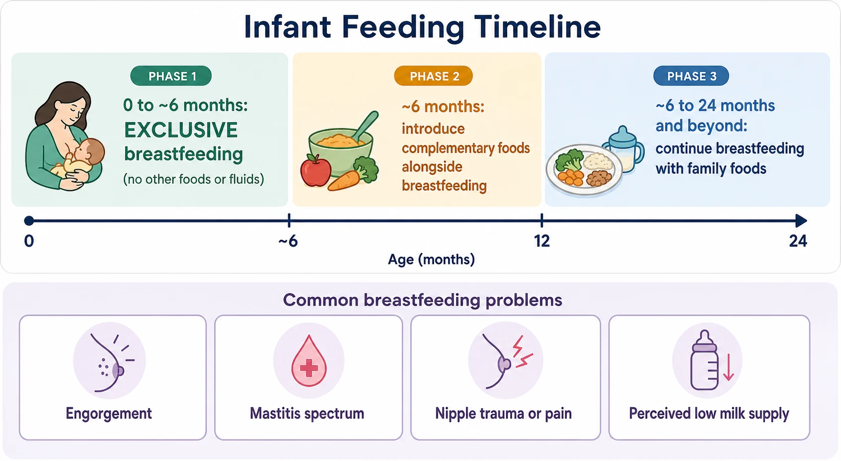 Infant feeding timeline from exclusive breastfeeding to complementary feeding to two years, with four common breastfeeding problems listed below