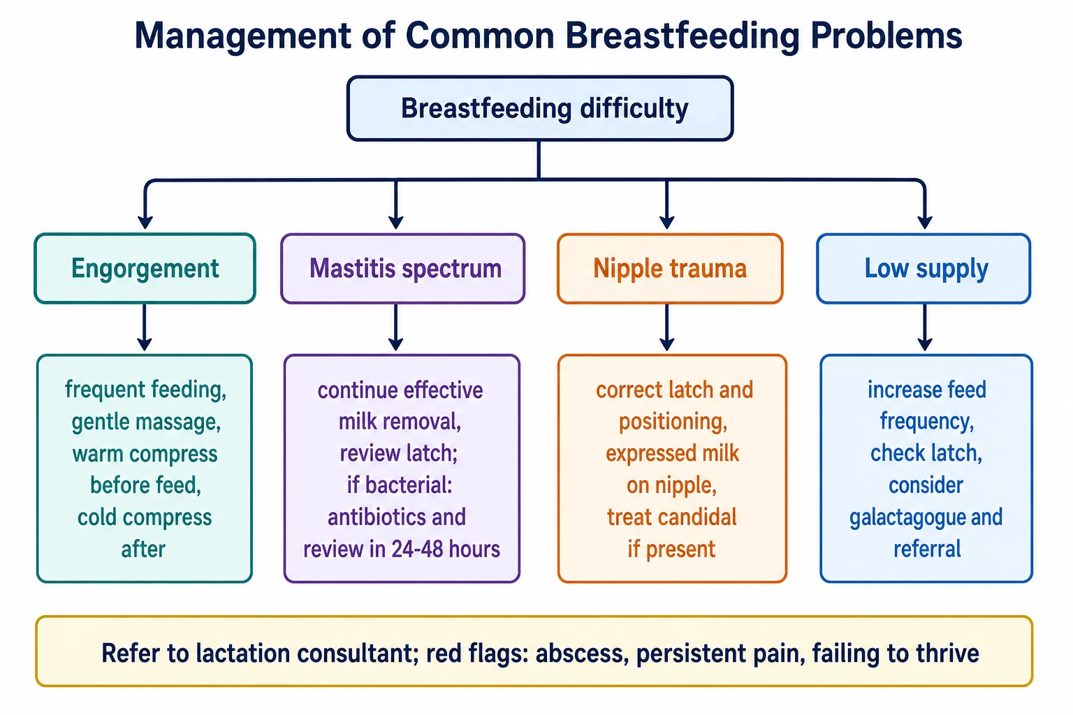 Branching management flowchart from breastfeeding difficulty through engorgement, mastitis spectrum, nipple trauma and low supply to specific steps, with referral and red flags