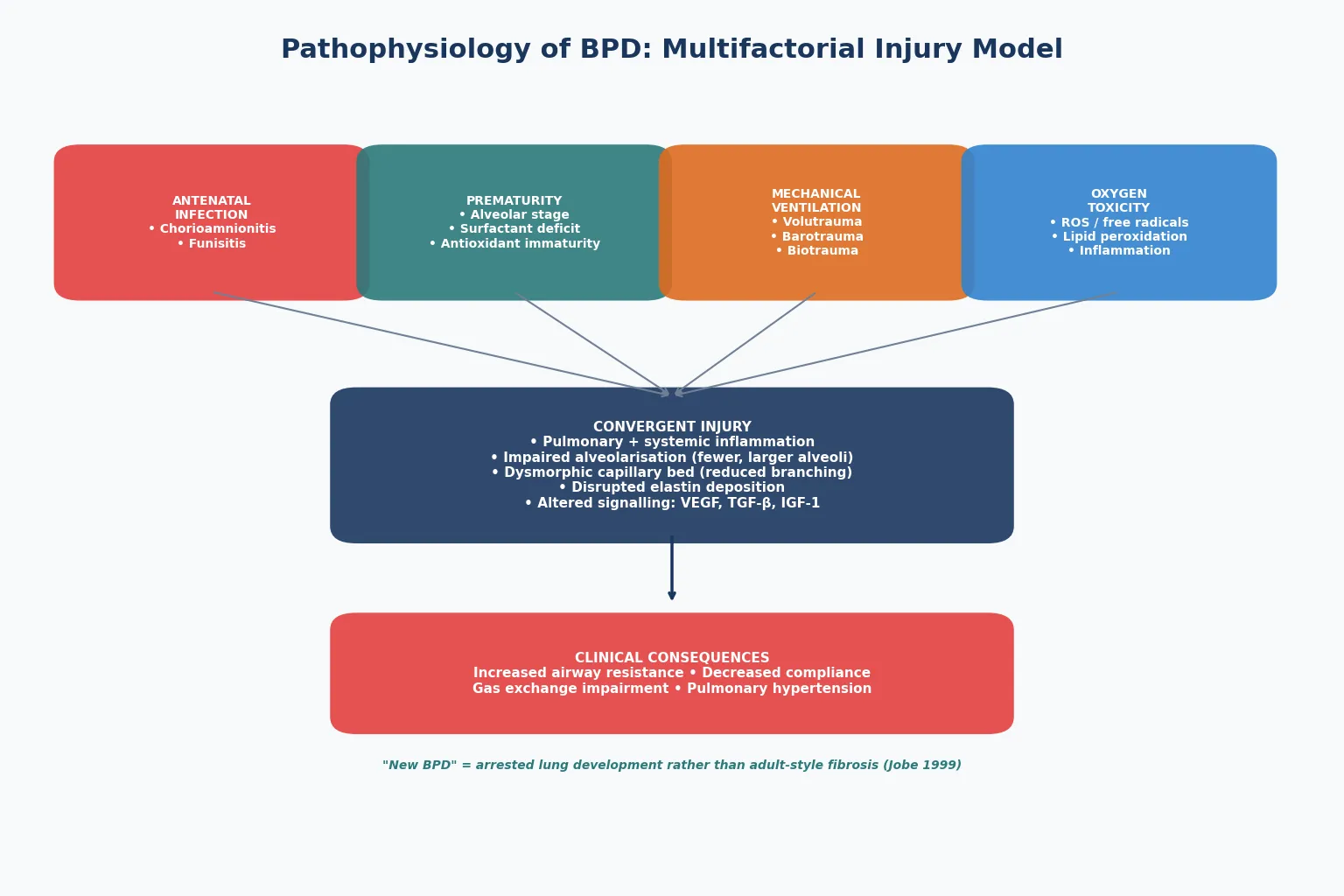 Multifactorial injury model of BPD showing convergent pathways from antenatal infection, prematurity, mechanical ventilation, and oxygen toxicity