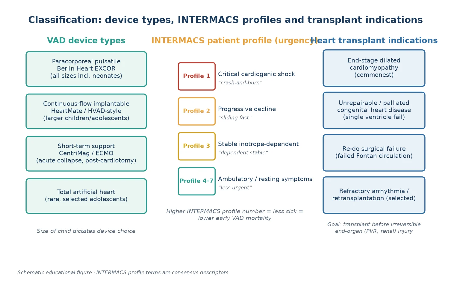 Classification of paediatric mechanical circulatory support on three axes: device type (paracorporeal pulsatile Berlin Heart EXCOR, miniaturised continuous-flow implantable, short-term ECMO/CentriMag, total artificial heart), the INTERMACS patient urgency profiles 1 to 7, and the heart-transplant indication groups (end-stage cardiomyopathy, unrepairable congenital heart disease, failed Fontan, retransplantation)