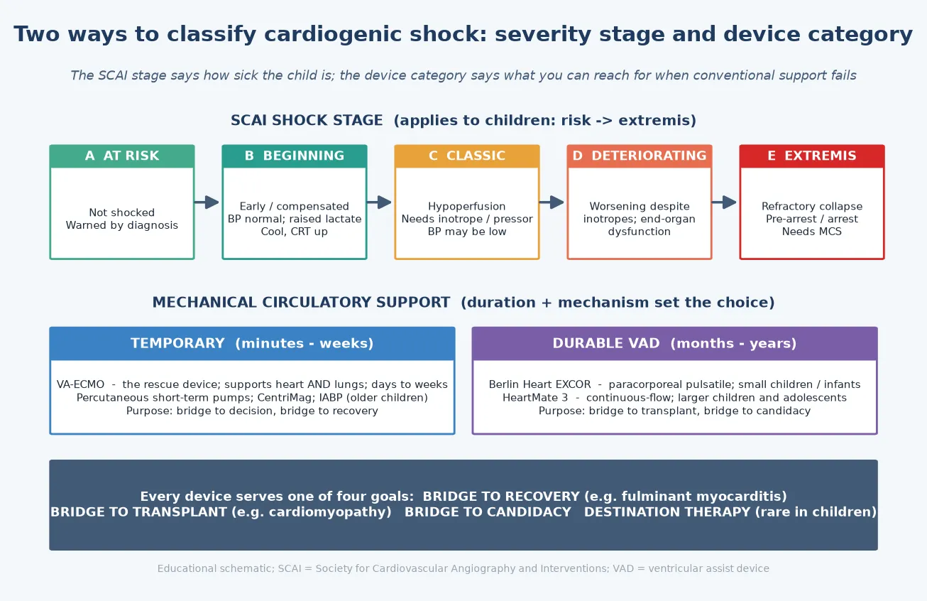 Two classification axes for cardiogenic shock. Top row: the SCAI shock stages A at risk, B beginning or compensated with a normal blood pressure, C classic hypoperfusion needing an inotrope, D deteriorating despite inotropes, and E extremis with refractory collapse needing mechanical circulatory support. Bottom: mechanical circulatory support device categories split into temporary support running minutes to weeks (venoarterial extracorporeal membrane oxygenation as the rescue device, percutaneous short-term pumps, intra-aortic balloon pump in older children) and durable ventricular assist devices running months to years (the Berlin Heart EXCOR paracorporeal pulsatile pump for small children, the HeartMate 3 continuous-flow device for larger children and adolescents). A strip lists the four goals: bridge to recovery, bridge to transplant, bridge to candidacy, and destination therapy.