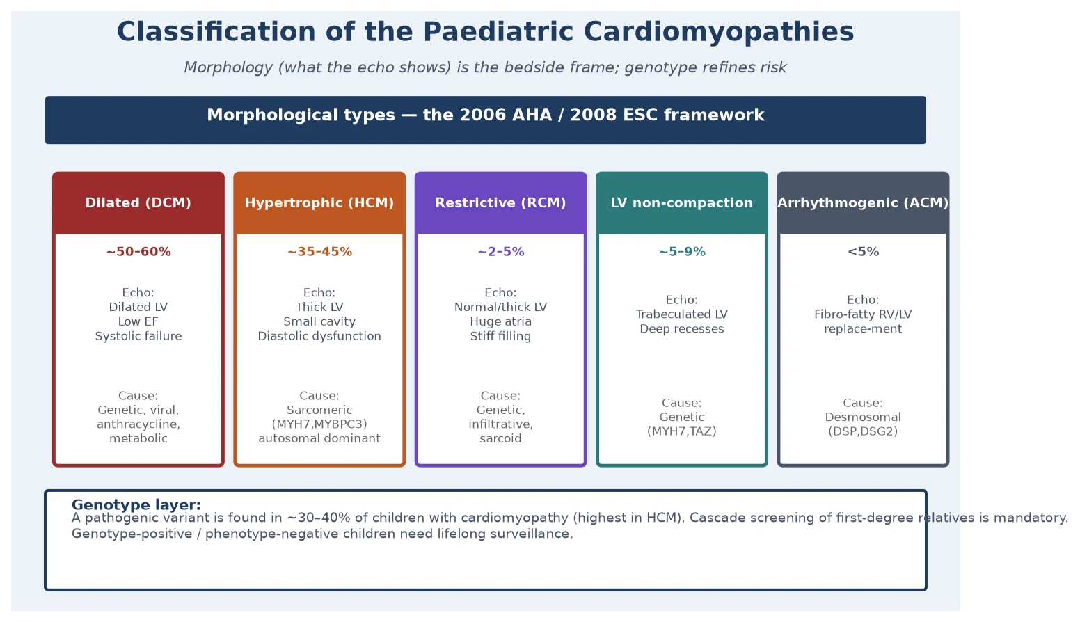 Classification of the paediatric cardiomyopathies into five morphological types (dilated, hypertrophic, restrictive, left ventricular non-compaction, arrhythmogenic) with the typical echocardiographic findings, the approximate share of each, and the genetic substrate, plus a genotype layer emphasising cascade screening of first-degree relatives