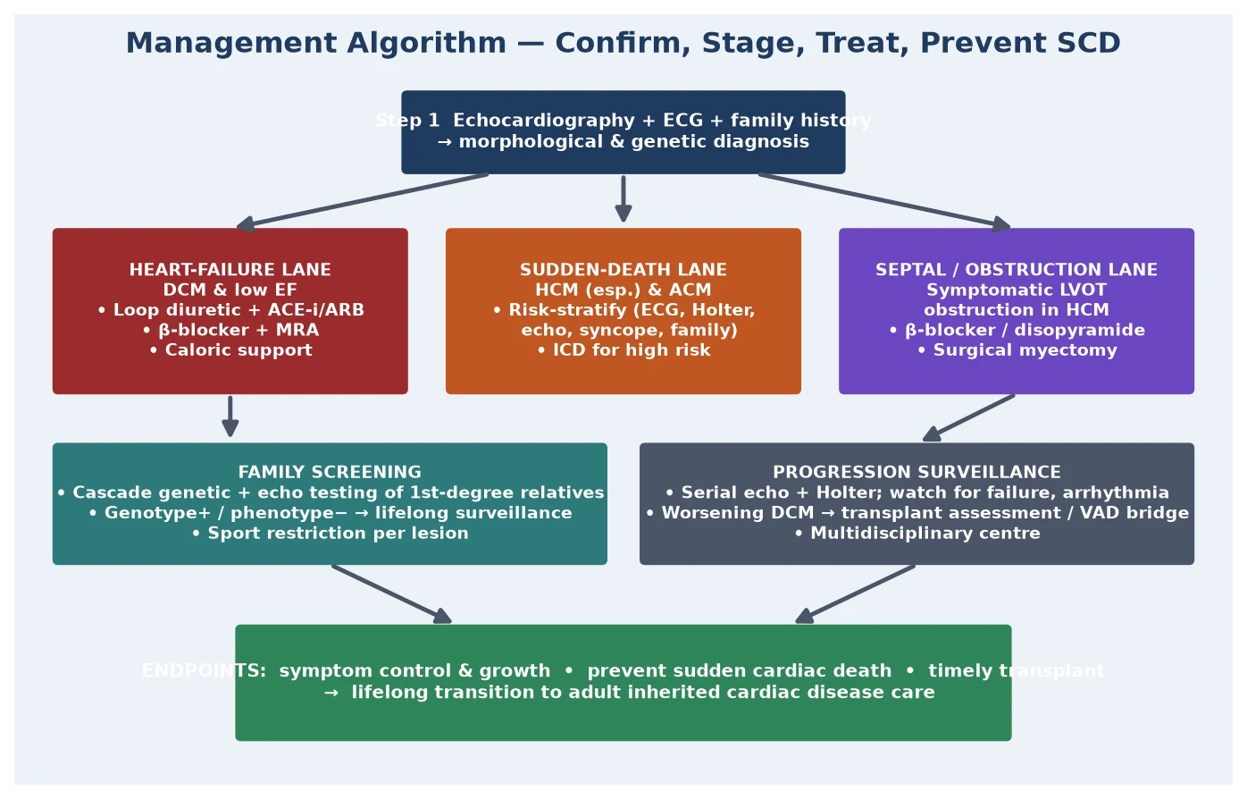 Management algorithm for paediatric cardiomyopathy showing the confirm-and-stage step, then three lanes — a heart-failure lane for DCM (diuretic, ACE inhibitor, beta-blocker, MRA, transplant), a sudden-death lane for HCM and ACM (risk stratification and implantable cardioverter-defibrillator), and a septal or obstruction lane for symptomatic LVOT obstruction in HCM (beta-blocker, disopyramide, surgical myectomy) — joined by family cascade screening and progression surveillance, converging on symptom control, sudden-death prevention, and timely transplant