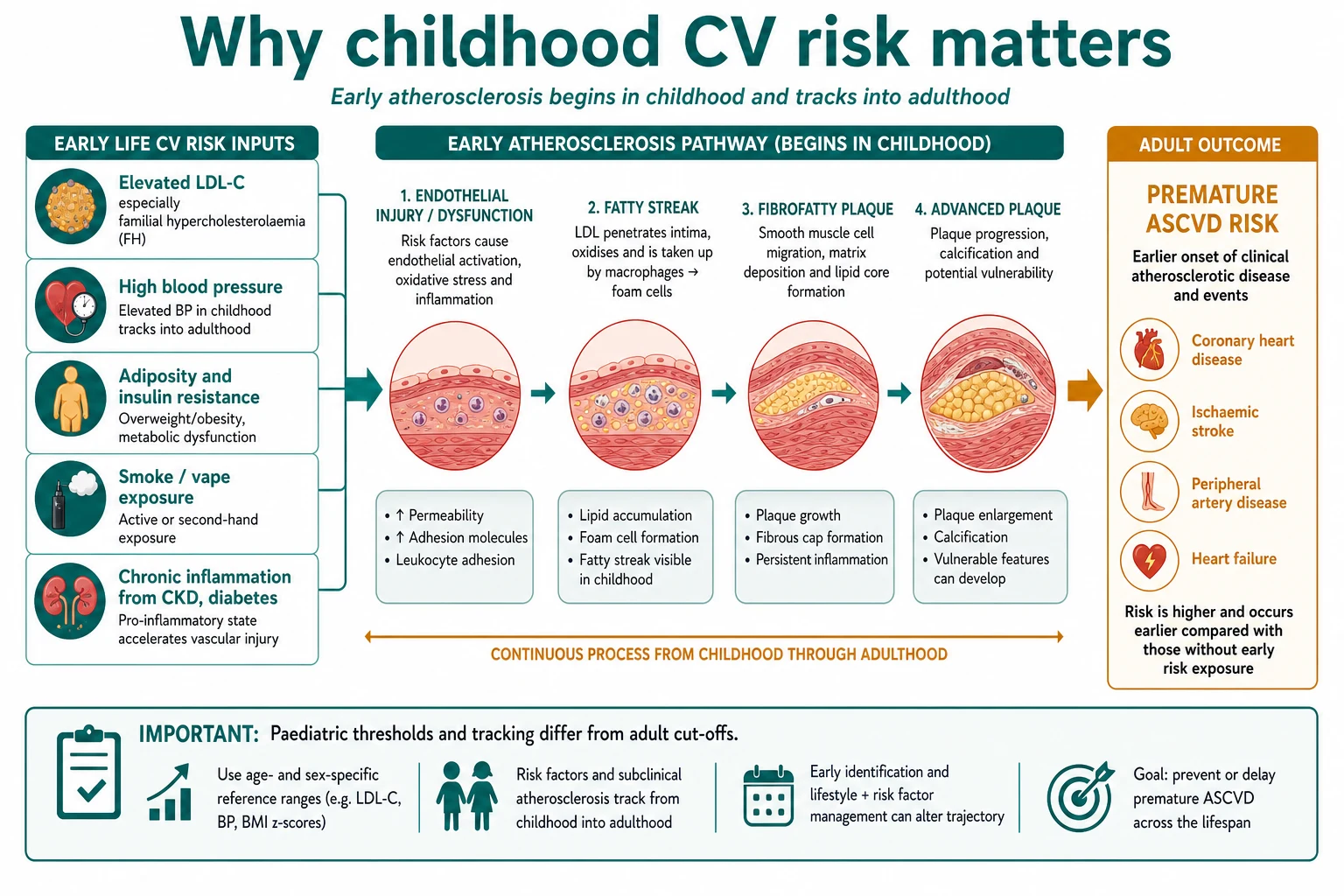 Mechanism map of childhood risk factors leading to early endothelial injury and future atherosclerotic disease