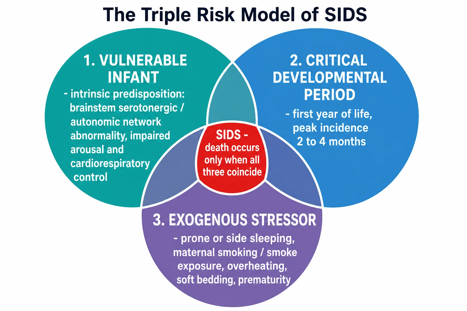 Three overlapping circles forming a Venn diagram labelled the triple risk model of SIDS: a vulnerable infant with brainstem serotonergic and autonomic abnormality, a critical developmental period peaking at 2 to 4 months, and an exogenous stressor of prone sleeping, smoking and overheating, with a central red SIDS intersection where all three coincide