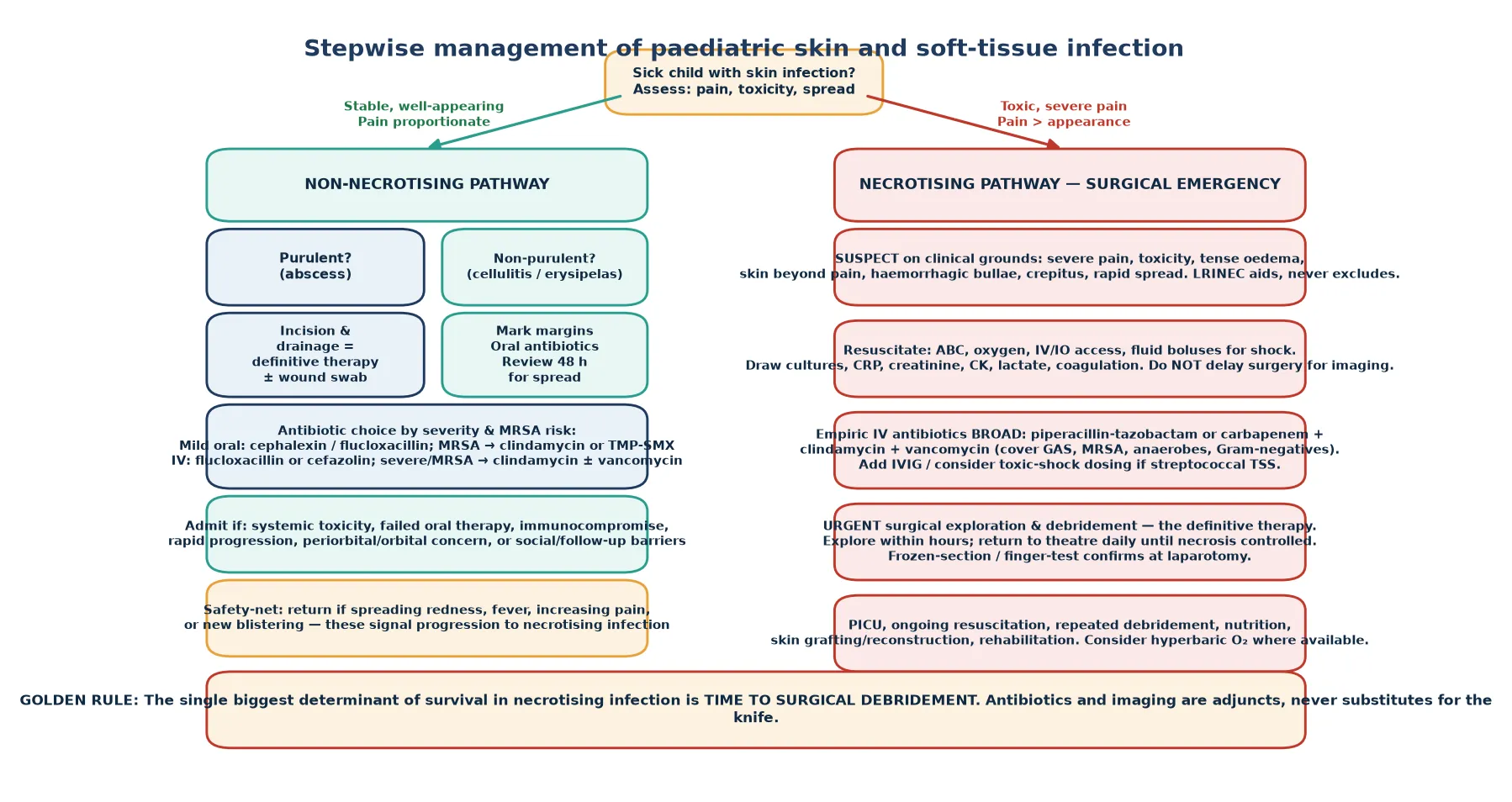 Stepwise management pathway for paediatric skin and soft-tissue infection showing the non-necrotising pathway of incision and drainage with antibiotics and the necrotising pathway of resuscitation, broad-spectrum antibiotics, and urgent surgical debridement.