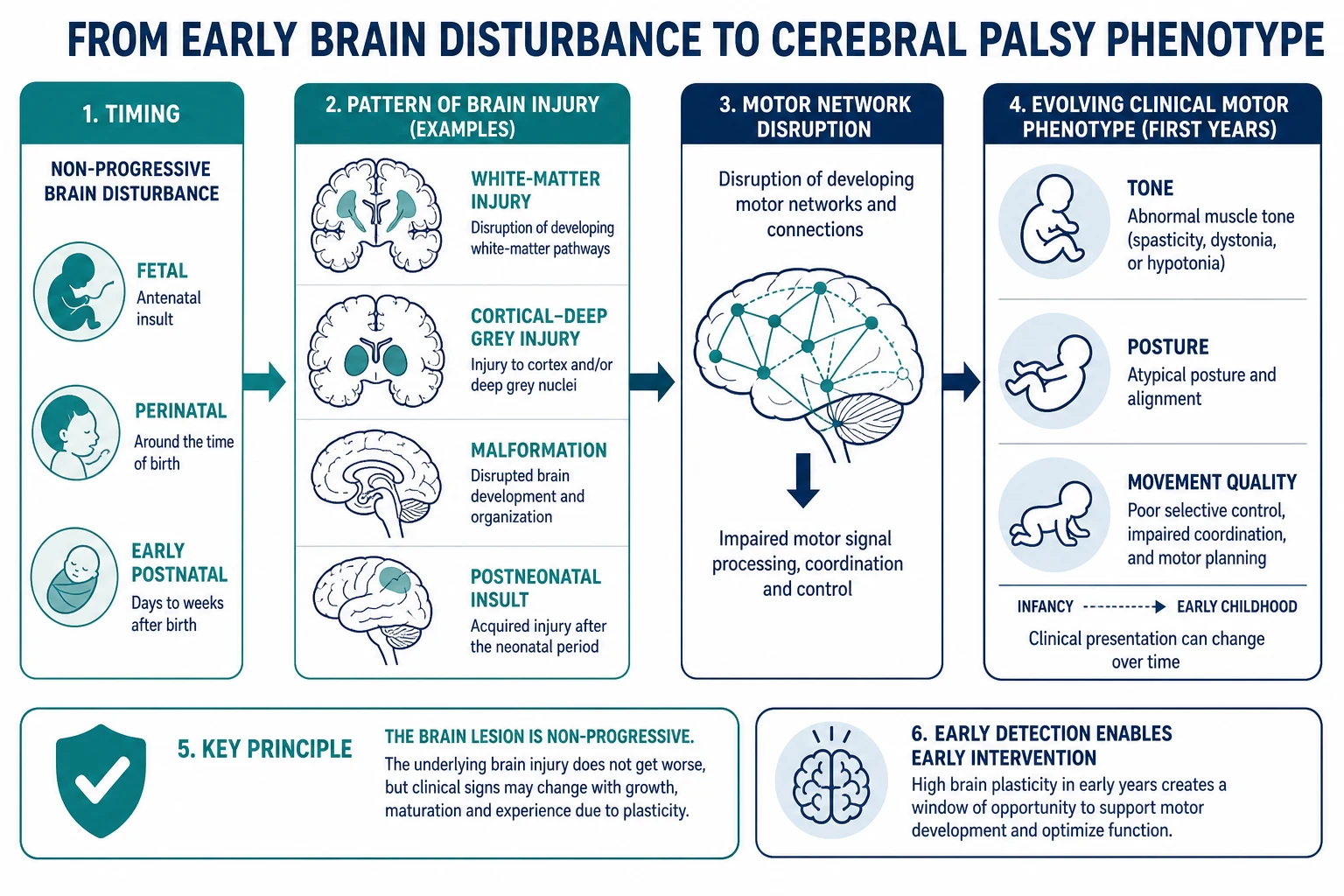 Mechanism map from early non-progressive brain disturbance through imaging pattern groups to evolving motor phenotype and early intervention window