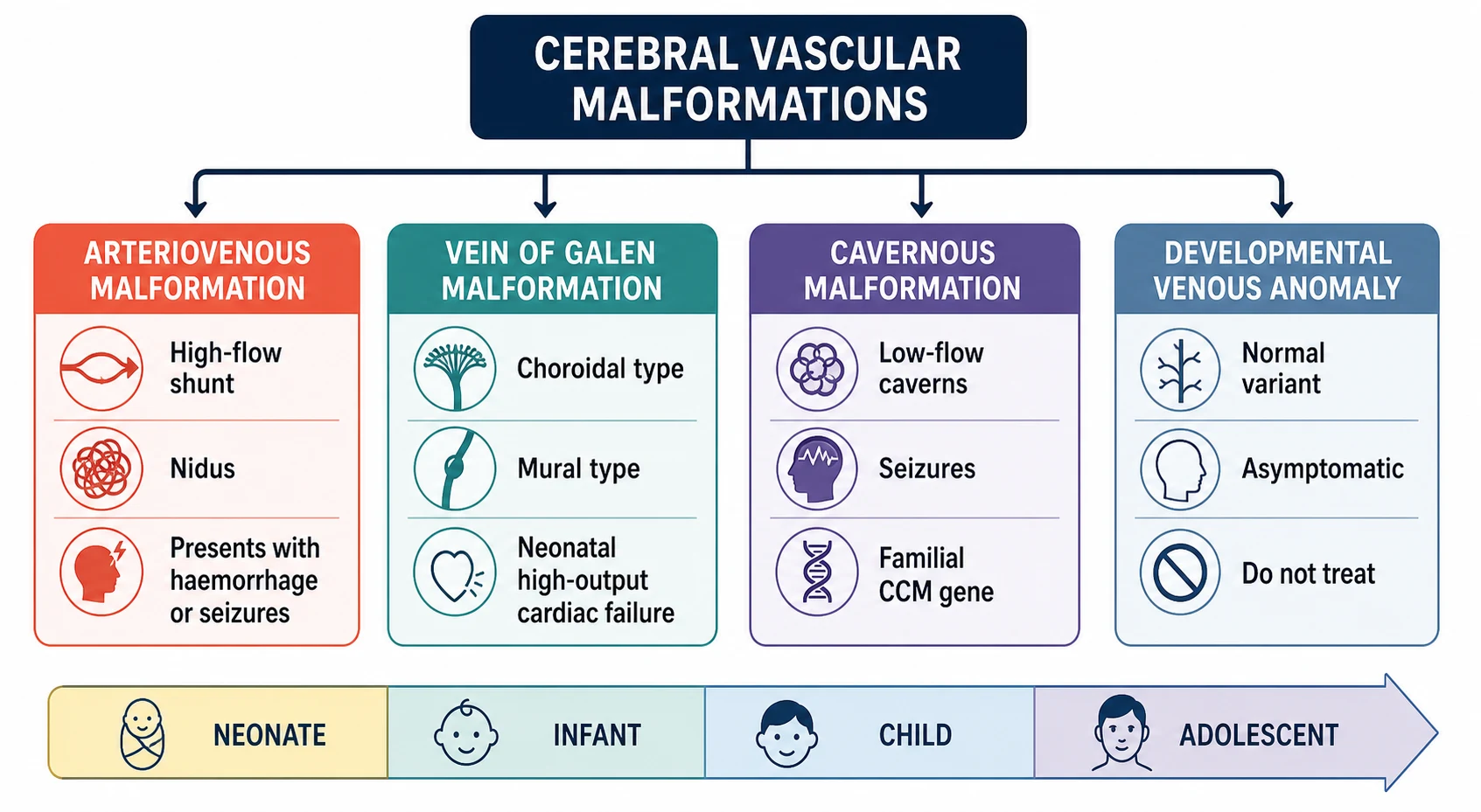 A clean scientific schematic on a white background showing the classification of cerebral vascular malformations in children as a four-branch horizontal tree. A central navy node labelled cerebral vascular malformations branches into four colour-coded rounded panels. A coral panel labelled arteriovenous malformation lists high-flow shunt, nidus, and presents with haemorrhage or seizures. A teal panel labelled vein of Galen malformation lists choroidal type, mural type, and neonatal high-output cardiac failure. A purple panel labelled cavernous malformation lists low-flow caverns, seizures, and familial CCM gene. A blue-grey panel labelled developmental venous anomaly lists normal variant, asymptomatic, and do not treat. A horizontal age bar at the base shows neonate, infant, child, and adolescent.