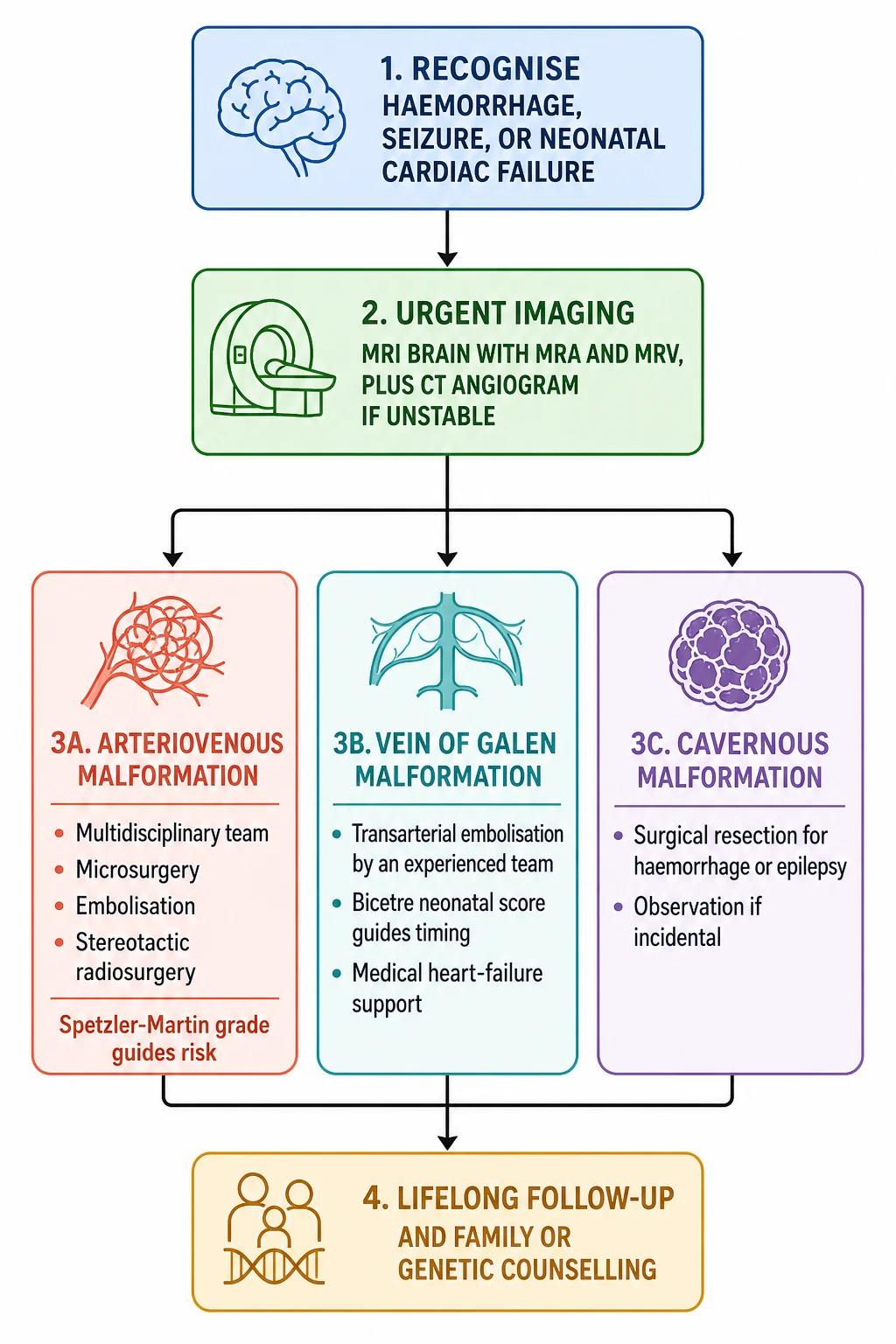 A clean medical-education management flowchart on a white background shown as a top-down cascade for cerebral vascular malformations in children. The first blue box reads recognise haemorrhage, seizure, or neonatal cardiac failure. A green box reads urgent MRI brain with MRA and MRV, plus CT angiogram if unstable. Three branches diverge below. A coral box labelled arteriovenous malformation lists multidisciplinary team, microsurgery, embolisation, and stereotactic radiosurgery, and Spetzler-Martin grade guides risk. A teal box labelled vein of Galen malformation lists transarterial embolisation by an experienced team, Bicetre neonatal score guides timing, and medical heart-failure support. A purple box labelled cavernous malformation lists surgical resection for haemorrhage or epilepsy, and observation if incidental. A final amber box reads lifelong follow-up and family or genetic counselling.