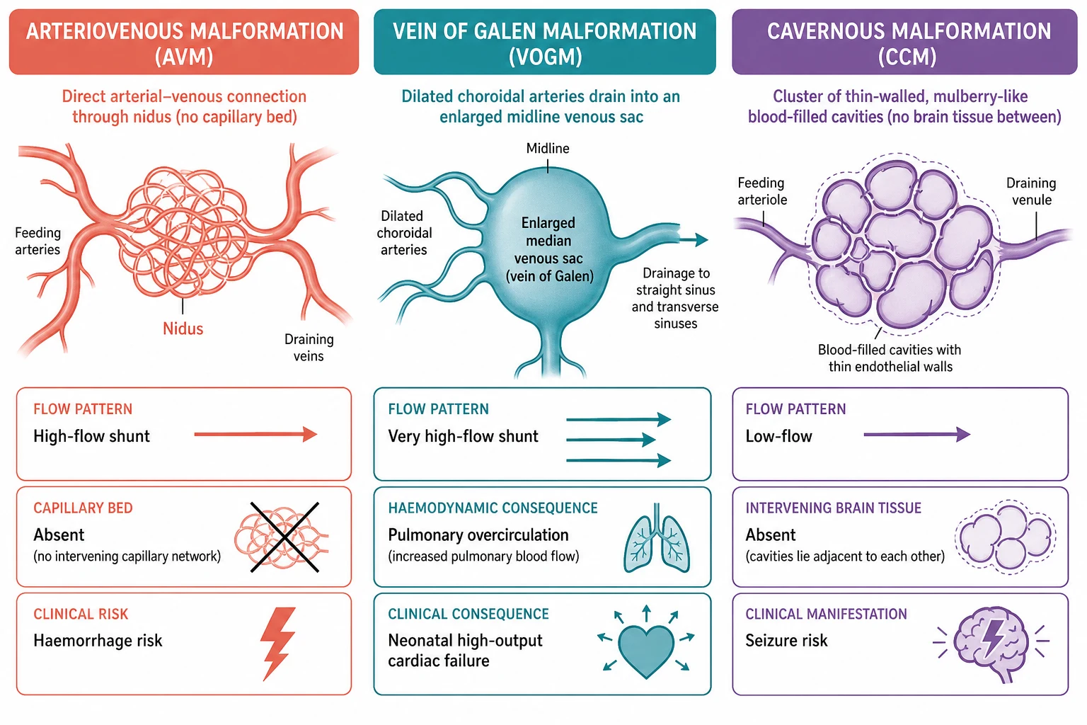 A clean scientific causal schematic on a white background comparing the mechanisms of three paediatric cerebral vascular malformations side by side in three columns. Left column in coral tones shows an arteriovenous malformation as a tangle of thin arteries connecting directly to veins through a nidus with no capillary bed, a high-flow shunt, and a small lightning-bolt icon for haemorrhage risk. Middle column in teal tones shows a vein of Galen malformation as dilated choroidal arteries draining into an enlarged midline venous sac, with a heart icon and pulmonary-overflow arrows indicating neonatal high-output cardiac failure. Right column in purple tones shows a cavernous malformation as a cluster of thin-walled mulberry-like blood cavities with no intervening brain tissue, a low-flow pattern, and a small seizure icon. Each column has a clear header label.