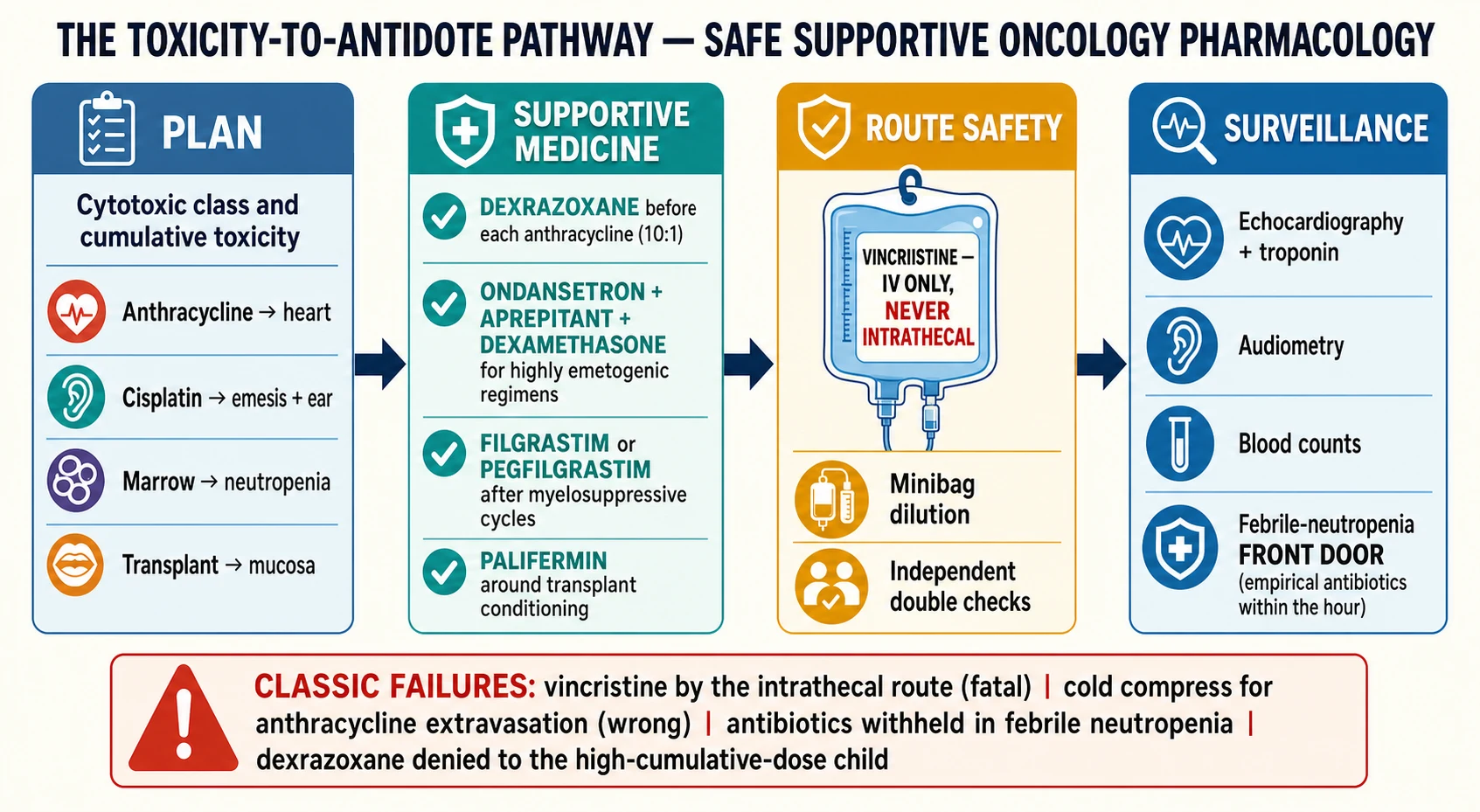 Educational flowchart of the toxicity-to-antidote pathway for paediatric chemotherapy — a plan box listing the cytotoxic class and its cumulative toxicity; a supportive-medicine box showing dexrazoxane before each anthracycline, the ondansetron-aprepitant-dexamethasone triple for highly emetogenic regimens, filgrastim or pegfilgrastim after myelosuppressive cycles, and palifermin around stem-cell transplant conditioning; a route-safety box stating vincristine intravenous only never intrathecal with minibag dilution and independent checks; and a surveillance box with echocardiography, audiometry, blood counts and the febrile-neutropenia front door