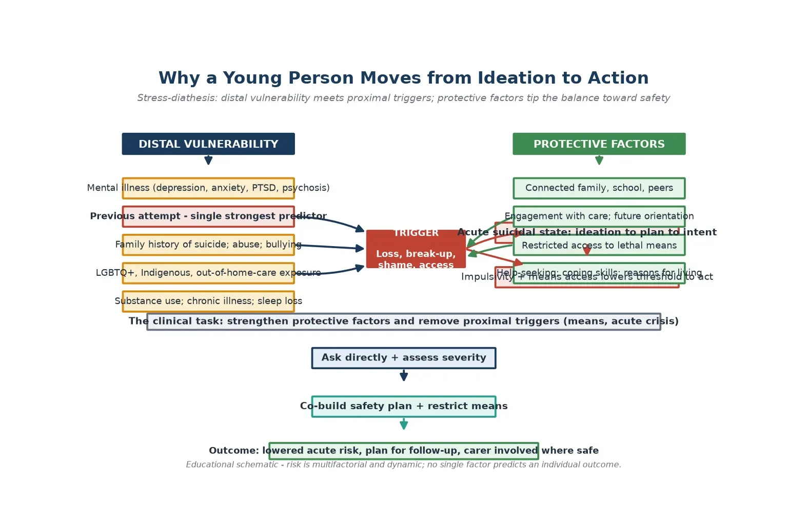 Educational mechanism diagram showing the stress-diathesis model: distal vulnerability factors and proximal triggers converge on an acute suicidal state, while protective factors tip the balance toward safety