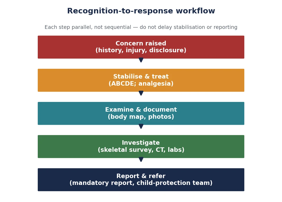 Top-down algorithm: concern raised, stabilise and treat, examine and document, investigate, report and refer, with a footer emphasising that the steps are parallel and that stabilisation and reporting must not be delayed