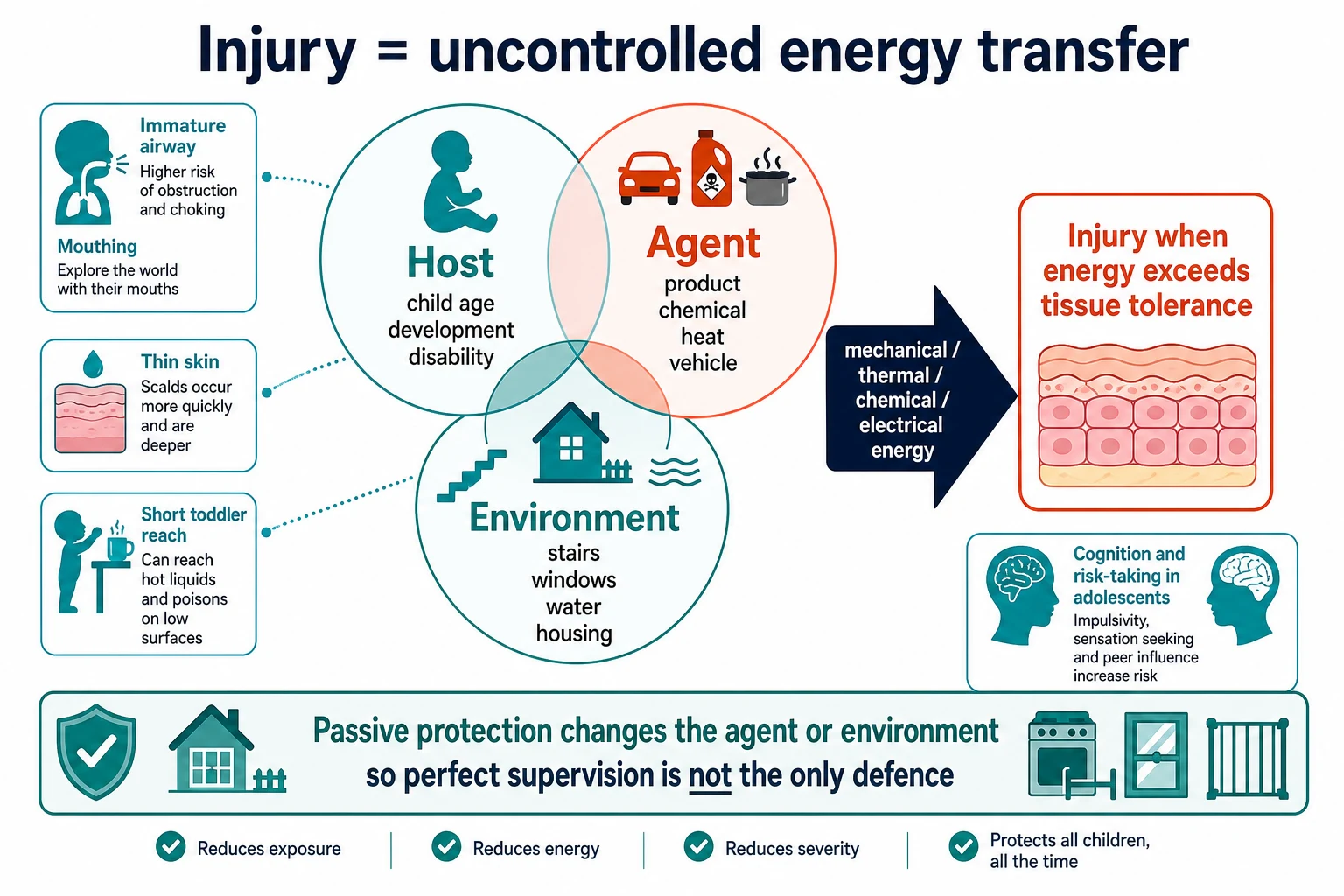Educational diagram of host, agent and environment with uncontrolled energy transfer producing childhood injury and age-related vulnerability callouts
