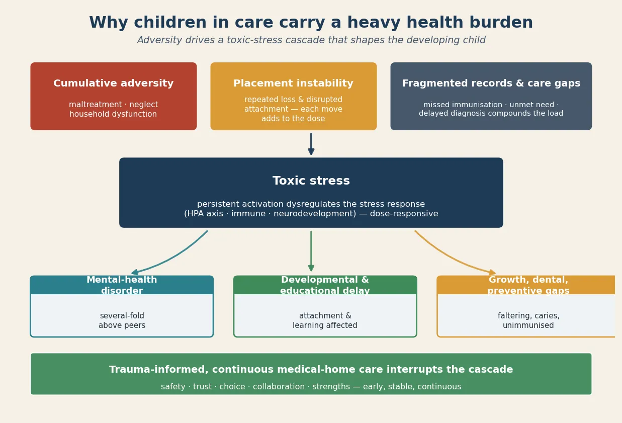 Causal mechanism map linking cumulative adversity, placement instability and fragmented records through a toxic-stress cascade to child-focused outcomes (mental-health disorder, developmental and educational delay, growth and dental and preventive gaps), with a trauma-informed continuous care interrupt