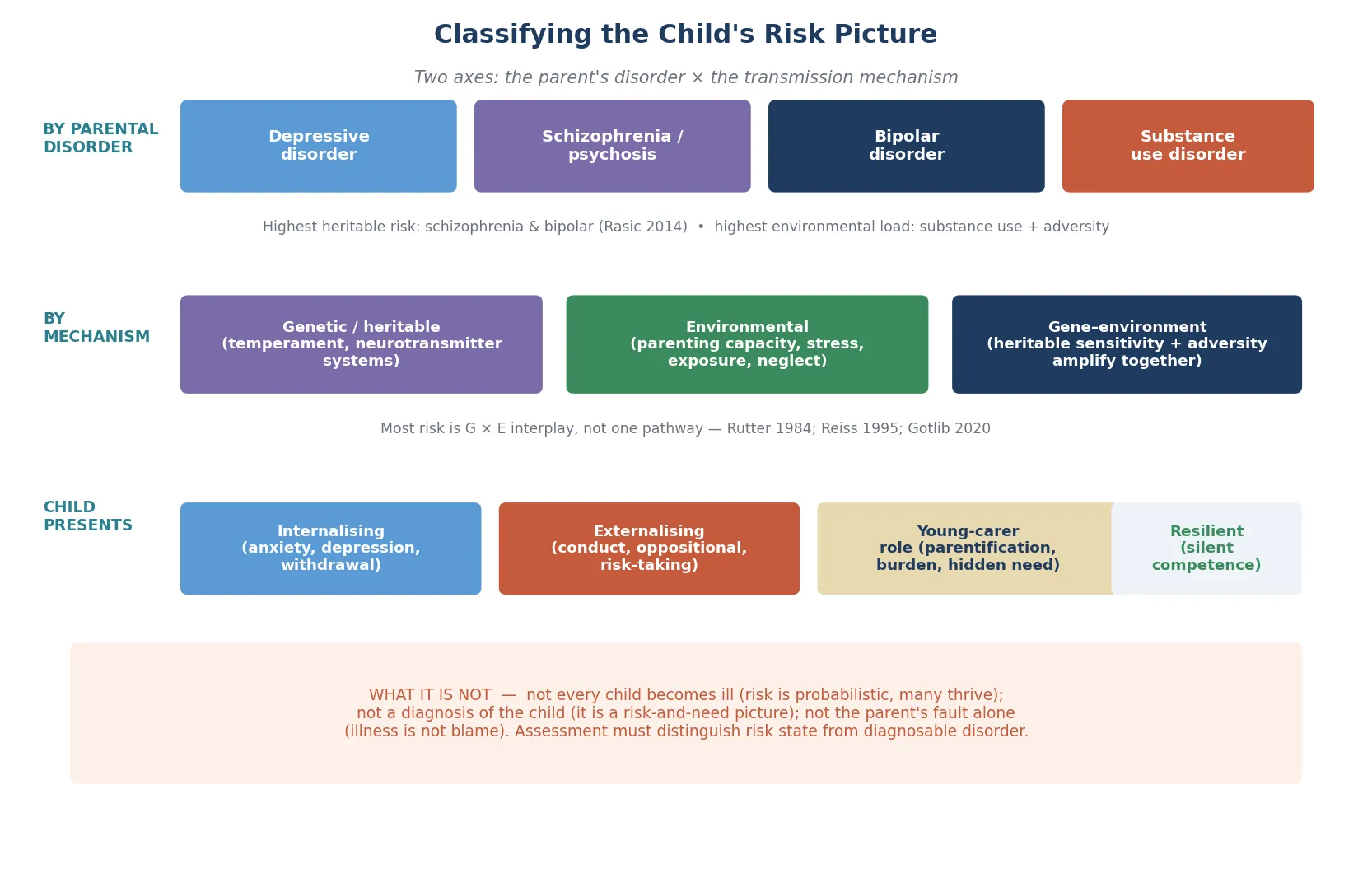 Three-axis classification of the child's risk picture: by parental disorder (depression, schizophrenia, bipolar, substance use), by transmission mechanism (genetic, environmental, gene-environment interplay), and by child presentation (internalising, externalising, young-carer, resilient), with an exclusion panel reminding that risk is not a diagnosis and parental illness is not blame