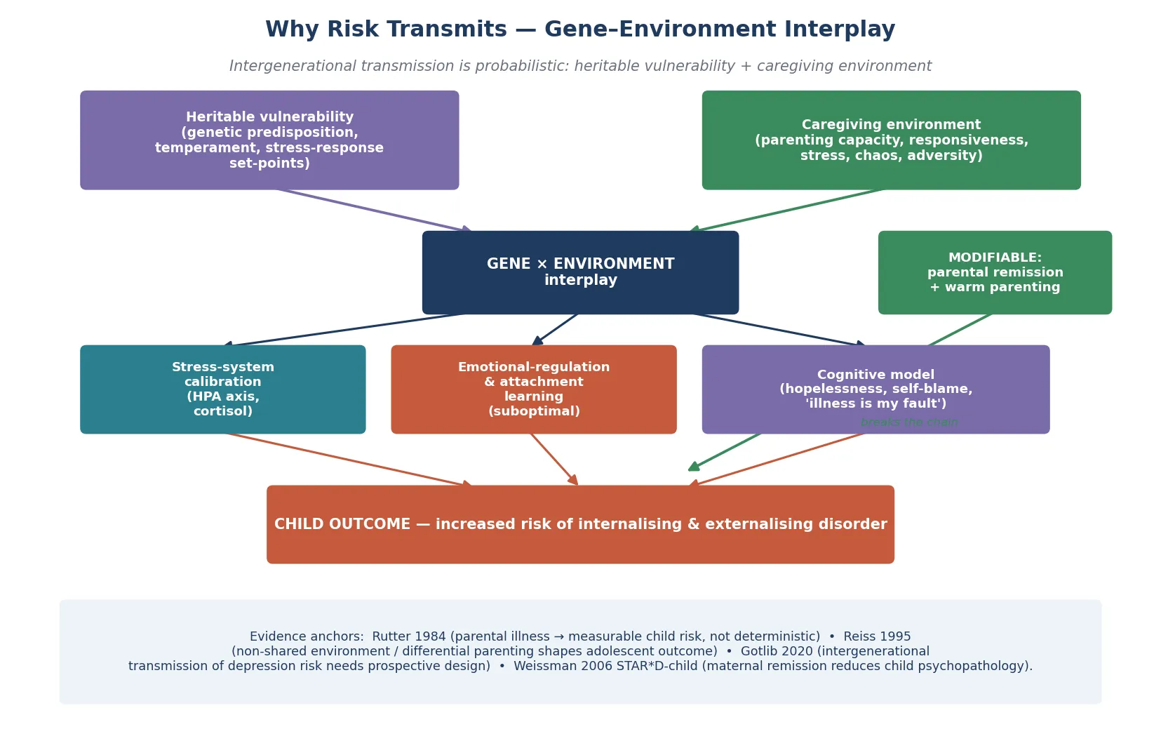 Mechanism diagram of gene-environment interplay converging on stress-system calibration, emotional-regulation learning, and the child's cognitive model, with parental remission and warm parenting as the chain-breaking modifiable lever; evidence anchors Rutter 1984, Reiss 1995, Gotlib 2020, Weissman 2006