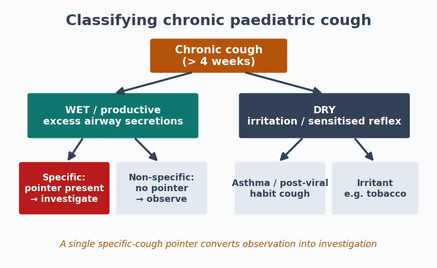 Classification of chronic cough in children by wet versus dry quality and specific versus non-specific pointers