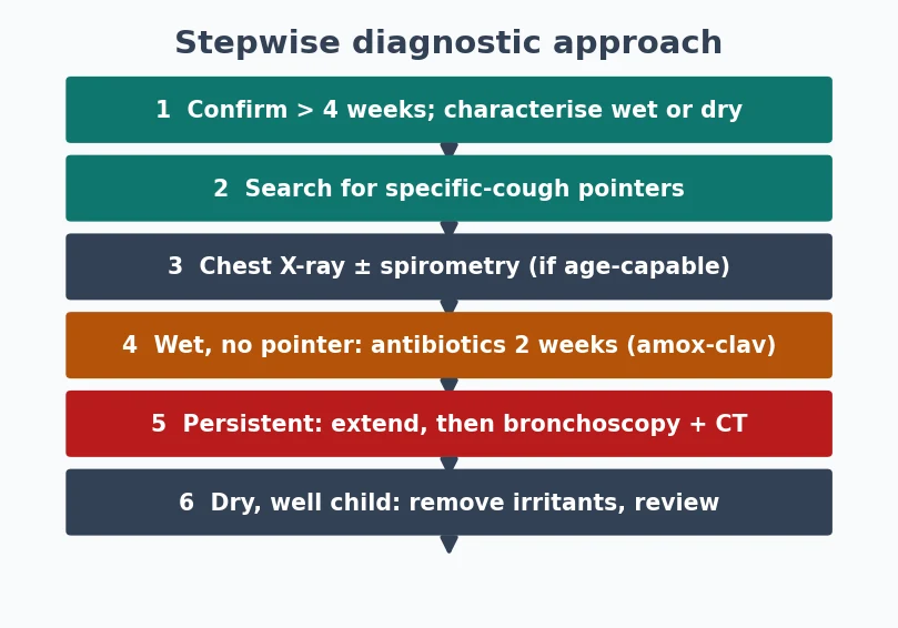 Stepwise chronic cough management algorithm branching on wet versus dry cough and specific pointers