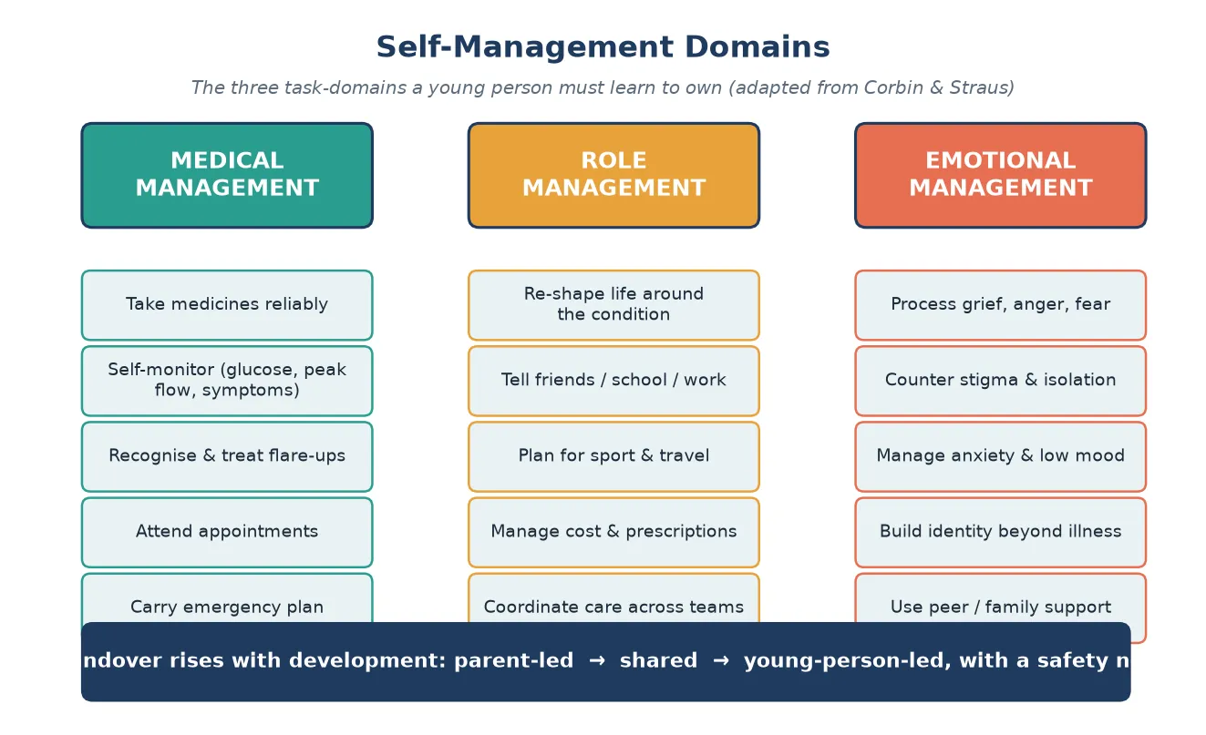 Three-column diagram of self-management task-domains: medical management, role management and emotional management, with a developmental-handover band showing parent-led to shared to young-person-led care.