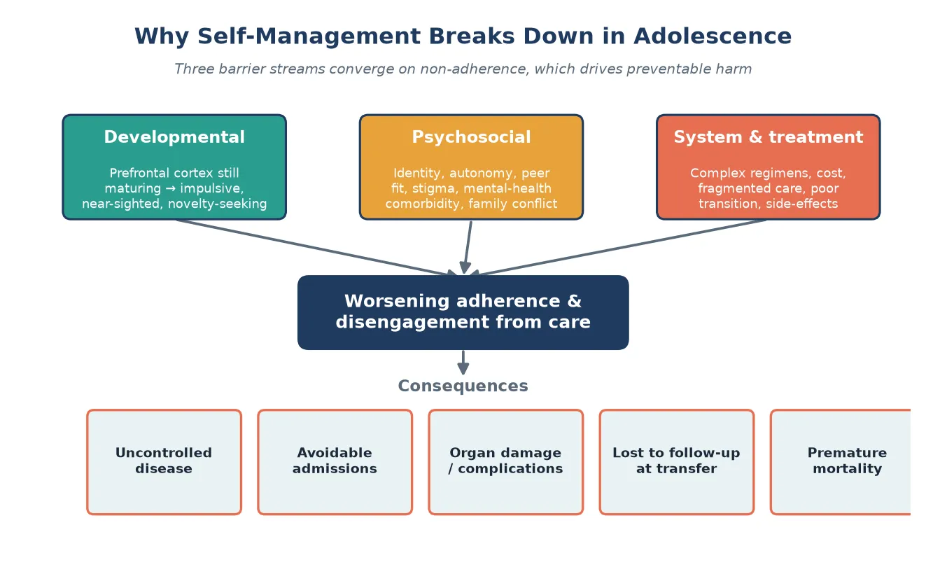 Cascade diagram showing developmental, psychosocial and system barrier streams converging on non-adherence and then on preventable outcomes: uncontrolled disease, avoidable admissions, organ damage, loss to follow-up and premature mortality.