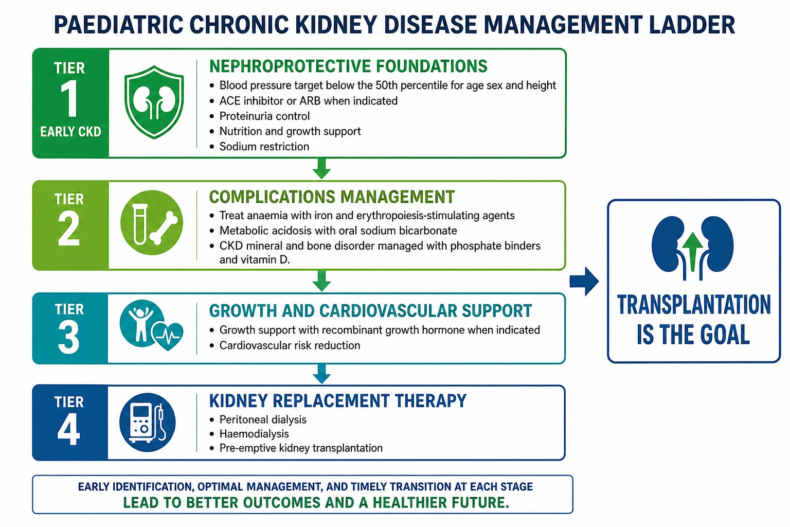 Stepwise management ladder for paediatric chronic kidney disease: Tier 1 nephroprotective foundations with blood pressure below the 50th percentile, ACE inhibitor or ARB, proteinuria control, nutrition and sodium restriction; Tier 2 complications management with iron and erythropoiesis-stimulating agents for anaemia, oral sodium bicarbonate for acidosis, phosphate binders and vitamin D for mineral-bone disease; Tier 3 growth and cardiovascular support with recombinant growth hormone; Tier 4 kidney replacement therapy with peritoneal dialysis, haemodialysis and pre-emptive kidney transplantation as the goal.
