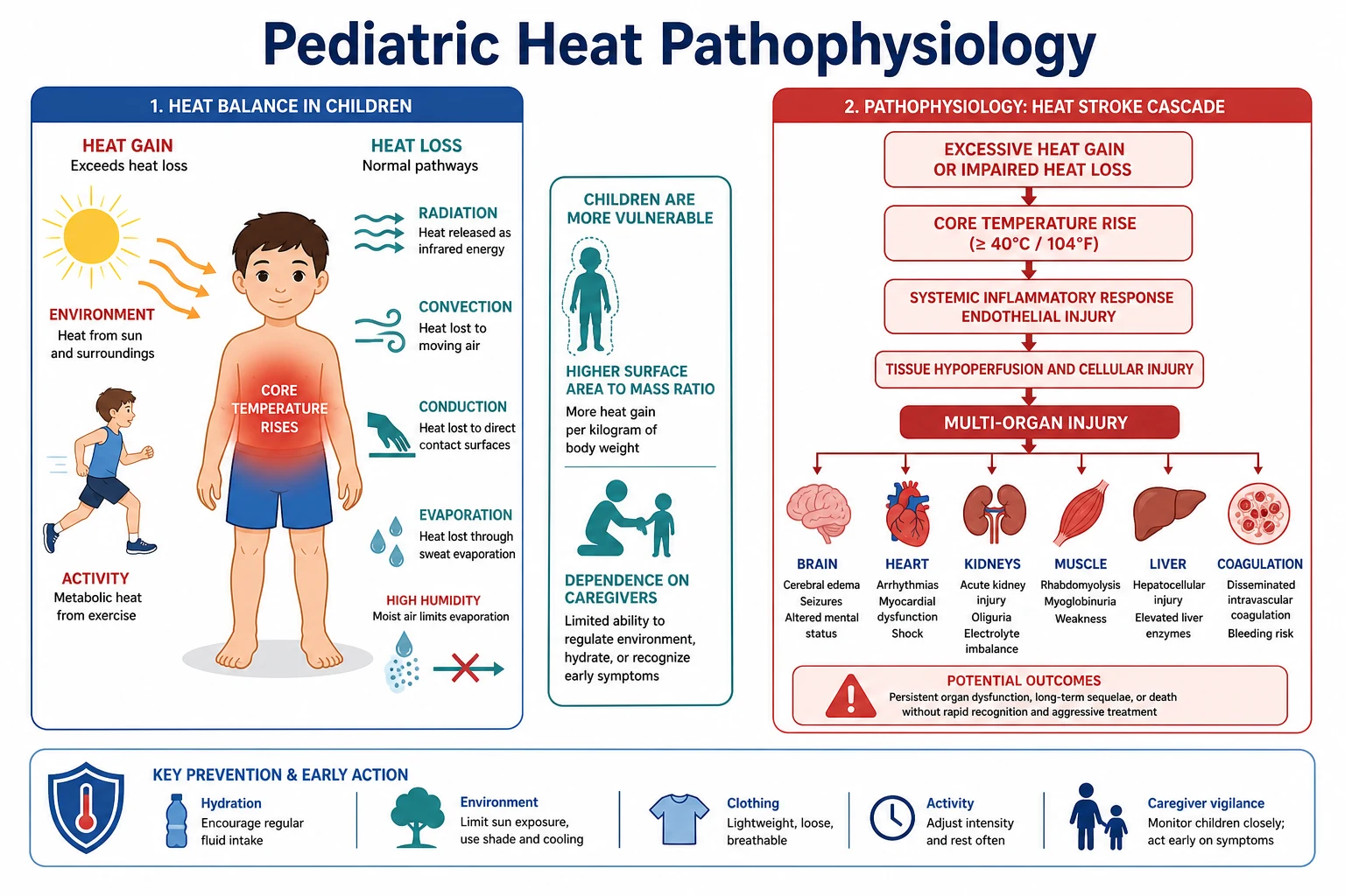 Educational diagram of paediatric heat gain and loss pathways and multi-organ injury cascade in heat stroke