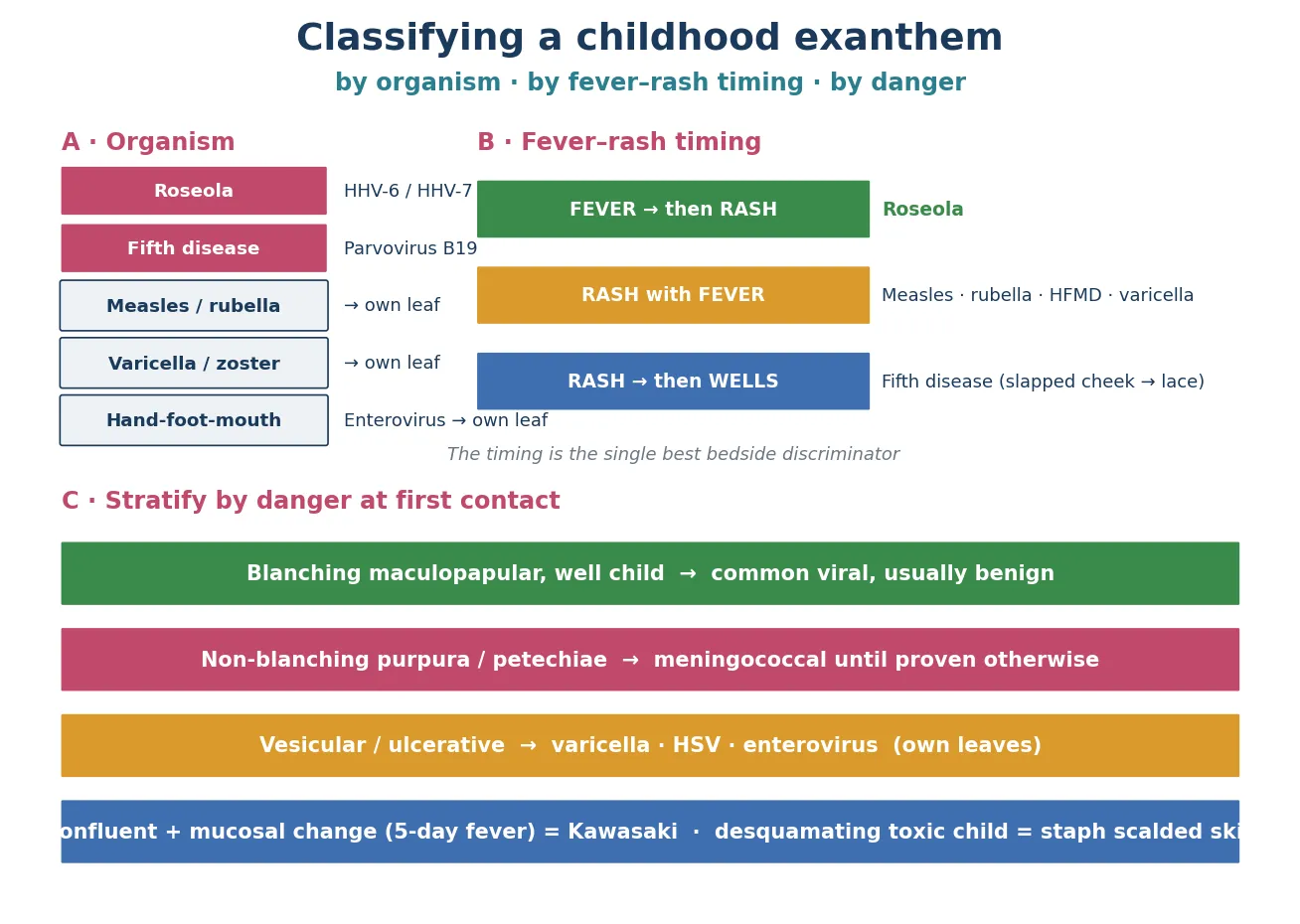 Three-panel classification schematic: panel A an organism table (roseola HHV-6/7, fifth disease parvovirus B19 featured, with measles, rubella, varicella and hand-foot-mouth cross-linked to their own leaves); panel B a fever-to-rash timing ladder contrasting fever-then-rash, rash-with-fever and rash-then-lace patterns; panel C a danger-stratification column from benign blanching maculopapular through non-blanching purpura, vesicular and confluent desquamating eruptions