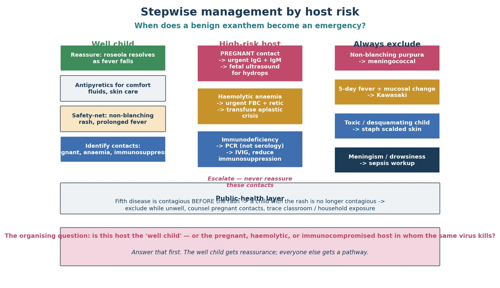 Three-column stepwise management pathway: the well-child column (reassure, antipyretics, safety-net, identify contacts); the high-risk-host column (pregnant contact gets urgent IgG and IgM with fetal ultrasound for hydrops, haemolytic anaemia gets urgent full blood count and transfusion, immunodeficiency gets PCR and intravenous immunoglobulin); and the always-exclude red-flag column (non-blanching purpura, five-day fever with Kawasaki mucosal change, toxic desquamating child, meningism); with a public-health footer on contagiousness before the rash
