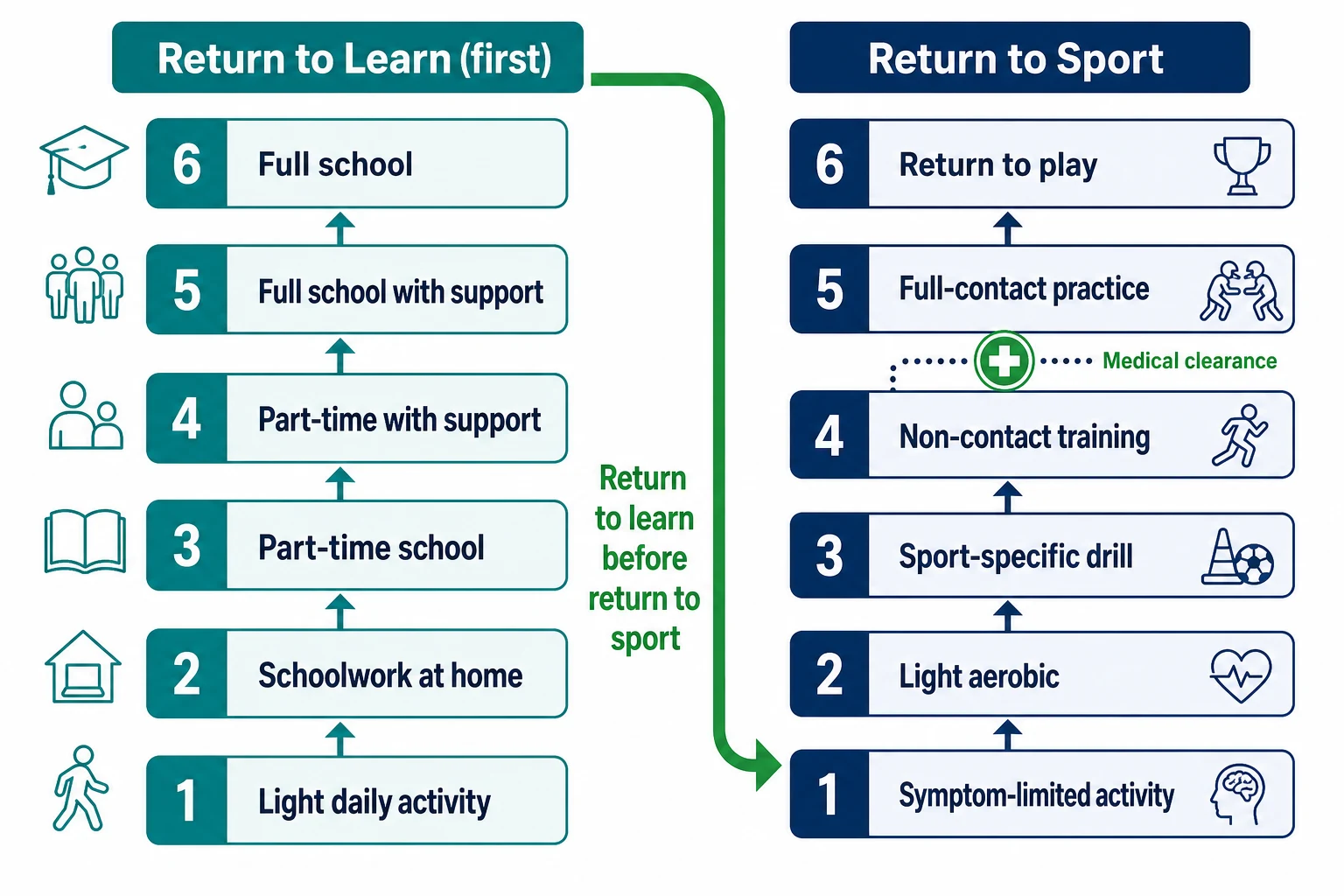 Decision-flowchart infographic with two parallel vertical ladders side by side. Left ladder headed Return to Learn first has six ascending steps: light daily activity, schoolwork at home, part-time school, part-time with support, full school with support, full school. Right ladder headed Return to Sport has six ascending steps: symptom-limited activity, light aerobic, sport-specific drill, non-contact training, full-contact practice, return to play. A green arrow flows from the top of the left ladder to the bottom of the right ladder with the label Return to learn before return to sport. A medical-cross gate between step four and step five on the right ladder is labelled Medical clearance.