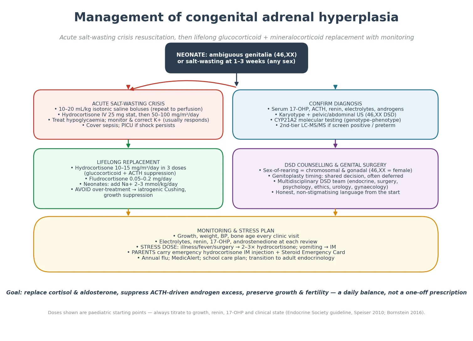 Management algorithm from a neonate with ambiguous genitalia or salt-wasting collapse through acute resuscitation with saline and intravenous hydrocortisone, confirmatory testing, lifelong hydrocortisone and fludrocortisone replacement with sodium supplementation, disorders of sex development counselling, and a monitoring and stress-dose plan.