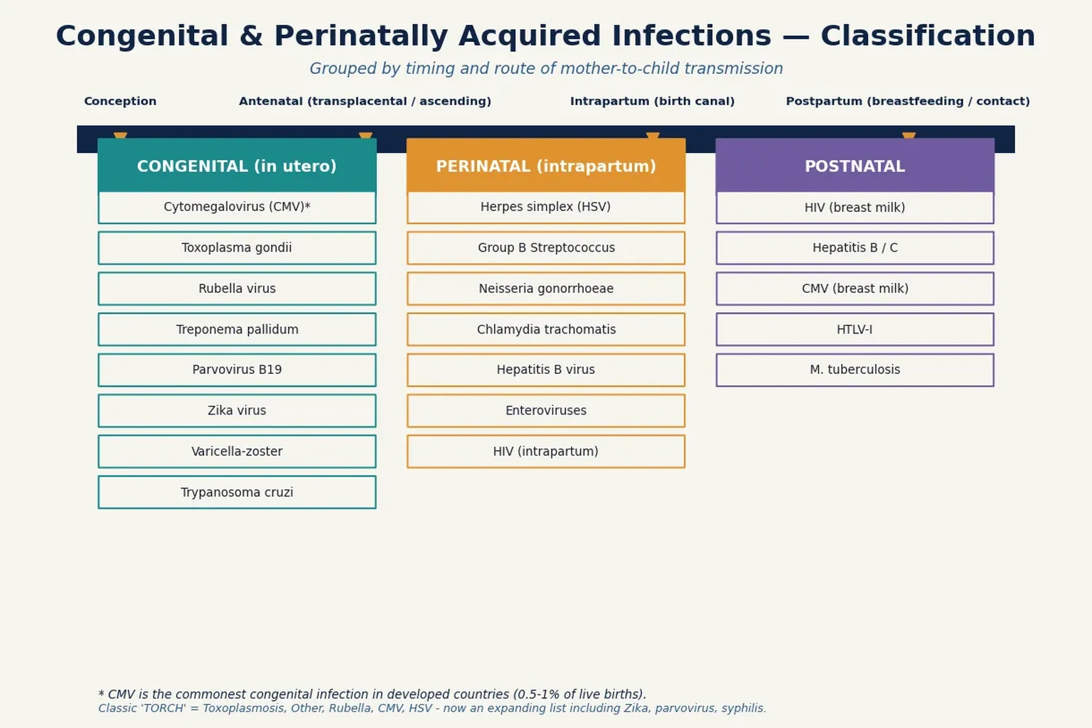 Classification diagram grouping congenital and perinatally acquired infections by timing and route of mother-to-child transmission, showing congenital in-utero pathogens (CMV, toxoplasma, rubella, syphilis, parvovirus, Zika, varicella), perinatal intrapartum pathogens (HSV, GBS, gonococcus, chlamydia, hepatitis B, HIV), and postnatal pathogens (HIV, hepatitis B/C, CMV in milk, HTLV, tuberculosis) along a timeline from conception through postpartum.