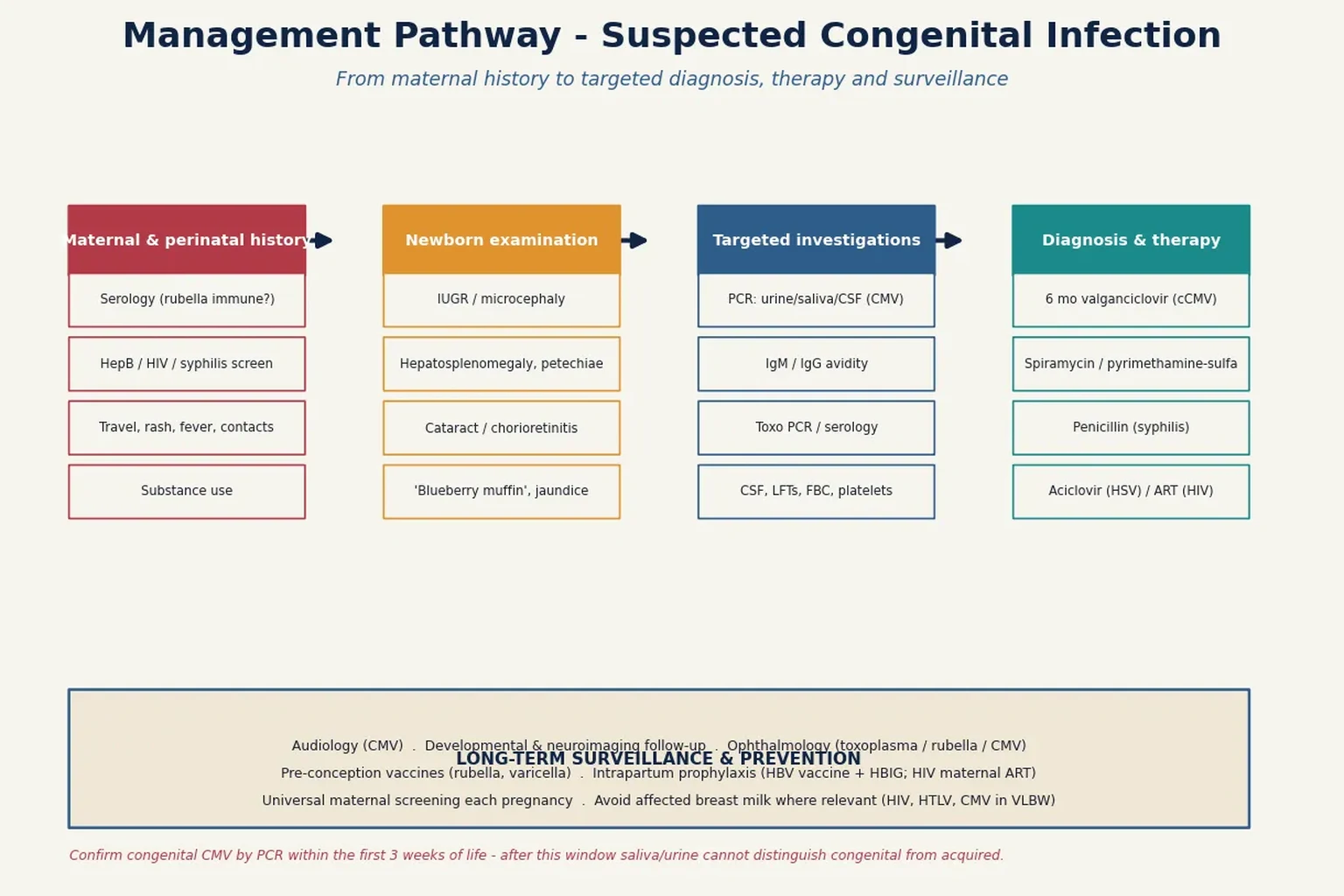 Stepwise management flowchart for suspected congenital infection from maternal and perinatal history through newborn examination, targeted investigations (CMV PCR, serology, IgG avidity), and directed organism-specific therapy (valganciclovir, spiramycin or pyrimethamine-sulfadiazine, penicillin, aciclovir, antiretrovirals), with a bottom strip on long-term surveillance and prevention.