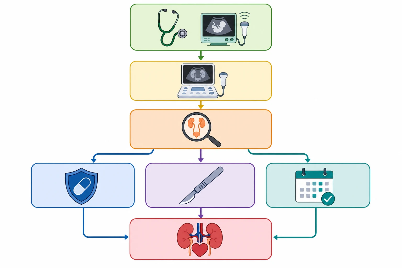 A medical-education flowchart on a white background showing the stepwise management pathway for a newborn with congenital anomalies of the kidney and urinary tract: a top green box for antenatal detection with a stethoscope and ultrasound icon, a yellow box below for postnatal evaluation with an ultrasound machine icon, an orange box for classification and investigations with a magnifying glass icon, three branching pathways to a blue conservative pathway with a shield icon for prophylactic antibiotics, a purple surgical pathway with a scalpel icon, and a teal surveillance pathway with a calendar icon, and a bottom red box for long-term monitoring for chronic kidney disease with a kidney and heart symbol.