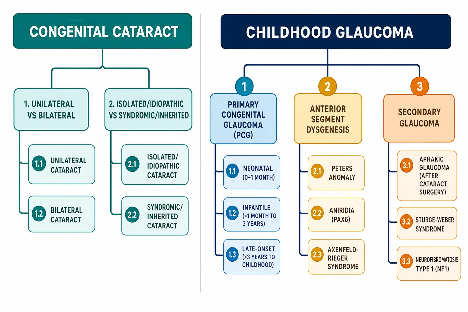 Classification diagram with two columns: congenital cataract (unilateral vs bilateral; isolated/idiopathic vs syndromic/inherited) and childhood glaucoma (primary congenital glaucoma with neonatal, infantile and late-onset subtypes; anterior segment dysgenesis with Peters, aniridia and Axenfeld-Rieger; and secondary glaucoma including aphakic glaucoma, Sturge-Weber and NF1)