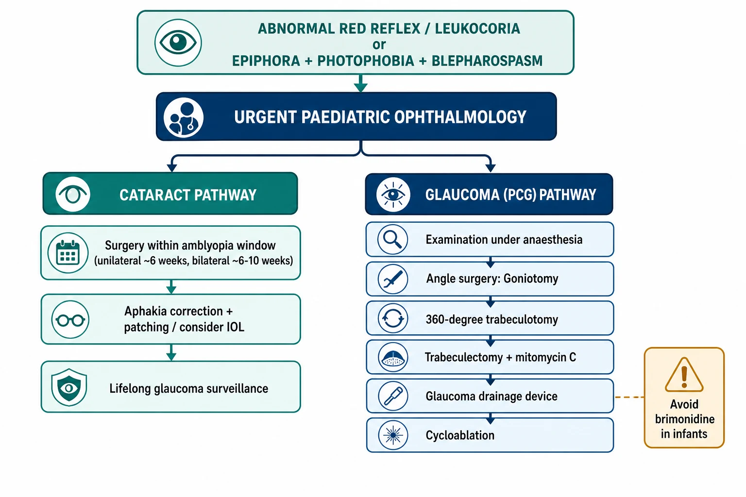 Management algorithm flowchart. Top: abnormal red reflex or leukocoria, or the epiphora-photophobia-blepharospasm triad, leading to urgent paediatric ophthalmology. Two parallel pathways follow. Cataract pathway: surgery within the amblyopia window (unilateral about 6 weeks, bilateral 6 to 10 weeks), then aphakia correction and patching or consider intraocular lens, then lifelong glaucoma surveillance. Glaucoma pathway: examination under anaesthesia, then an angle-surgery ladder of goniotomy, 360-degree trabeculotomy, trabeculectomy with mitomycin C, glaucoma drainage device and cycloablation. A caution box warns to avoid brimonidine in infants