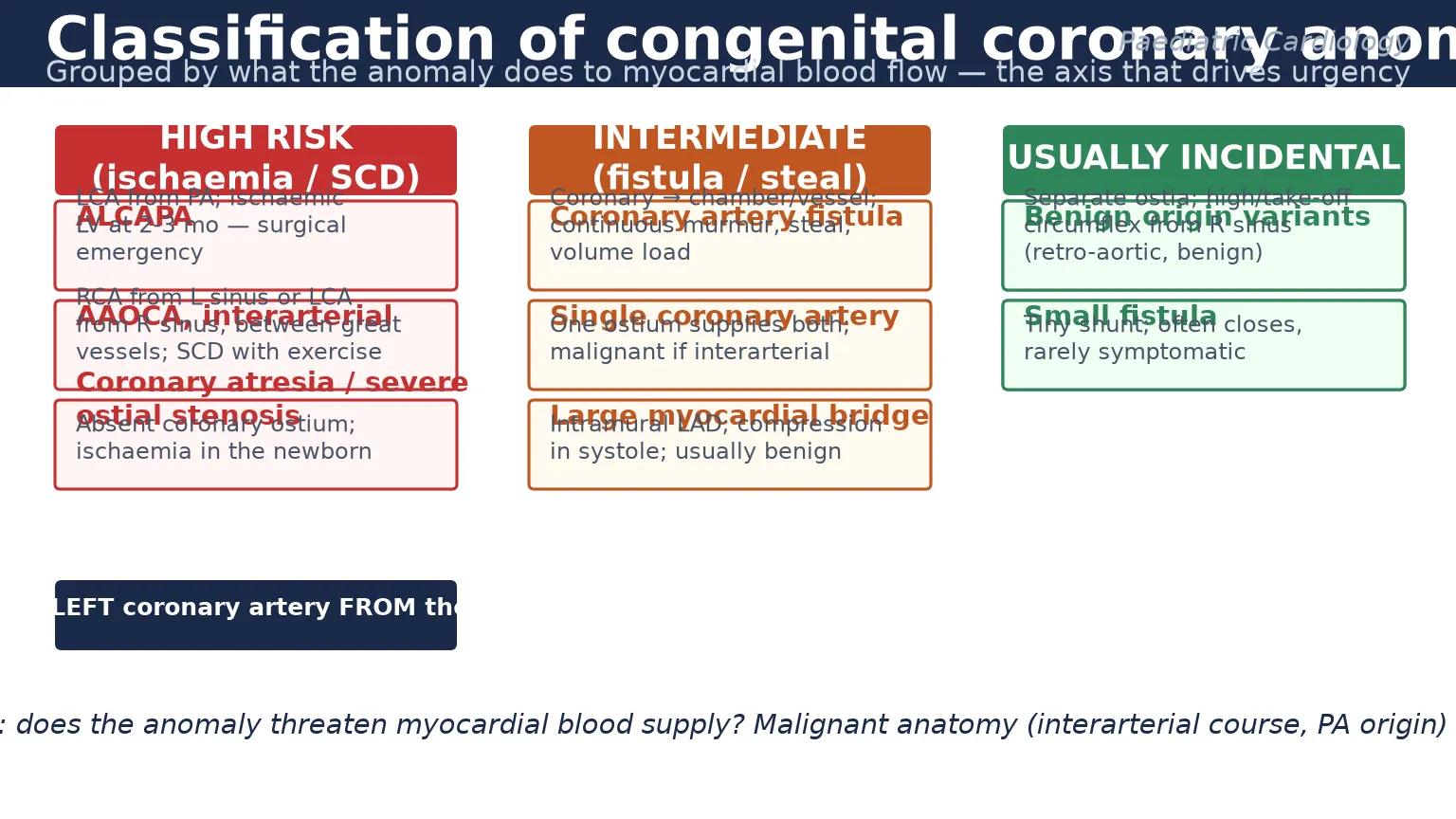 Educational schematic classifying congenital coronary artery anomalies by haemodynamic consequence into high-risk lesions causing ischaemia or sudden cardiac death (ALCAPA, anomalous aortic origin with interarterial course, coronary atresia), intermediate lesions (coronary artery fistula, single coronary artery, large myocardial bridge) and usually incidental benign variants