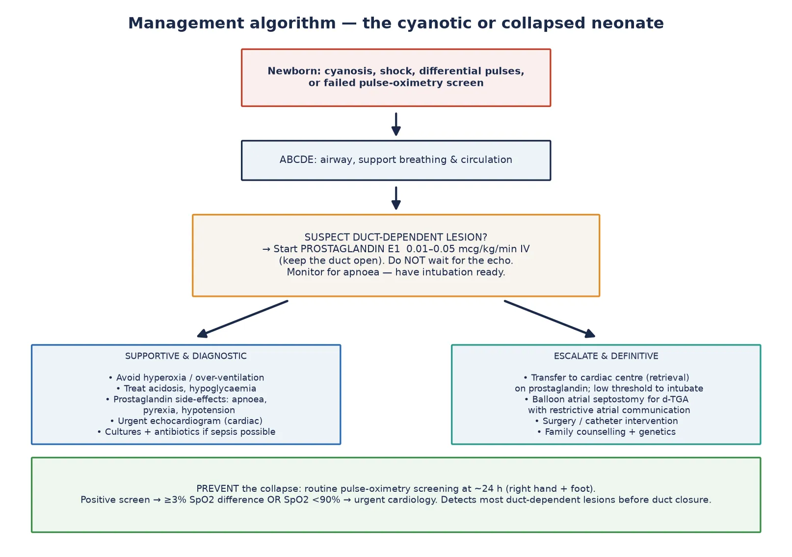Management algorithm flowing from a cyanotic or collapsed newborn through ABCDE, suspecting a duct-dependent lesion and starting prostaglandin E1 at 0.01 to 0.05 mcg per kg per min, then splitting into supportive and diagnostic work-up and escalation to a cardiac centre, with pulse-oximetry screening as the preventive arm.