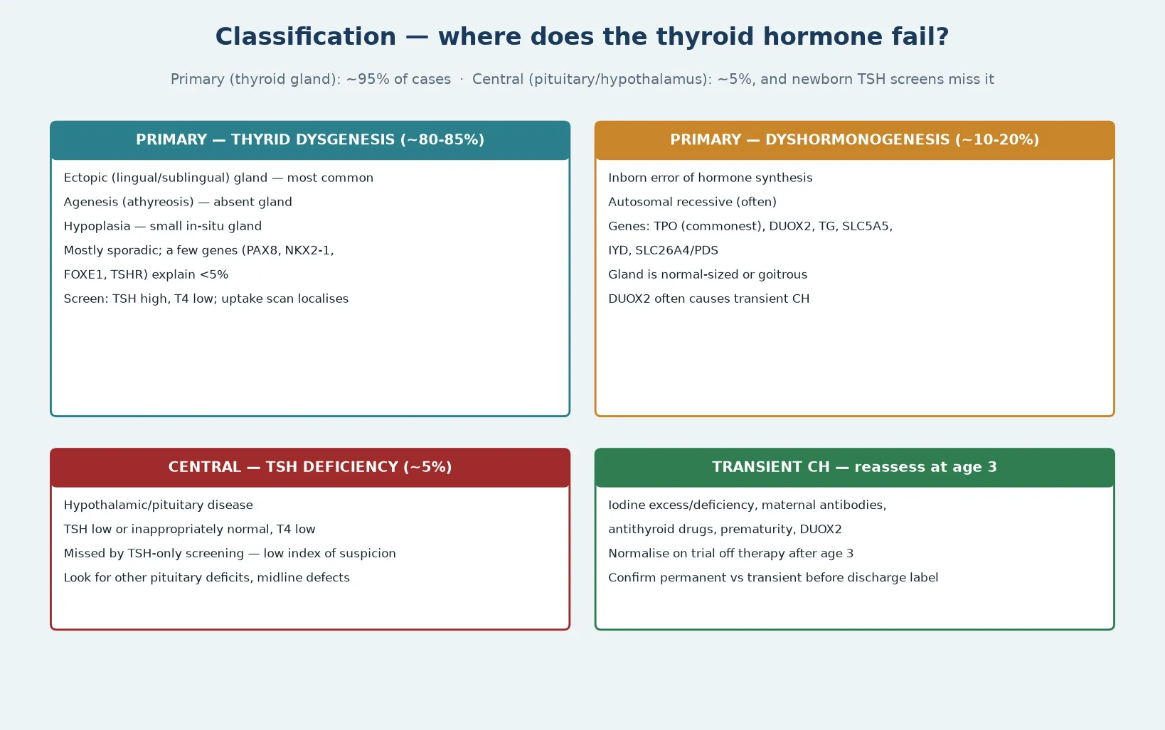 Classification map with four cards: primary thyroid dysgenesis about 80 to 85 per cent (ectopic, athyreosis, hypoplasia), primary dyshormonogenesis about 10 to 20 per cent (TPO, DUOX2, TG, SLC5A5, IYD, SLC26A4), central TSH deficiency about 5 per cent (missed by TSH-only screens), and transient congenital hypothyroidism reassessed at age three