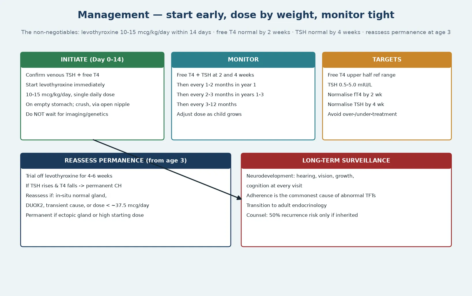 Management algorithm with five cards: initiate within day zero to fourteen with full-dose levothyroxine by weight, monitor free T4 and TSH at two and four weeks then every one to two months, targets of free T4 upper half and TSH within range, reassess permanence at age three with a trial off therapy, and long-term surveillance with neurodevelopment and transition to adult care