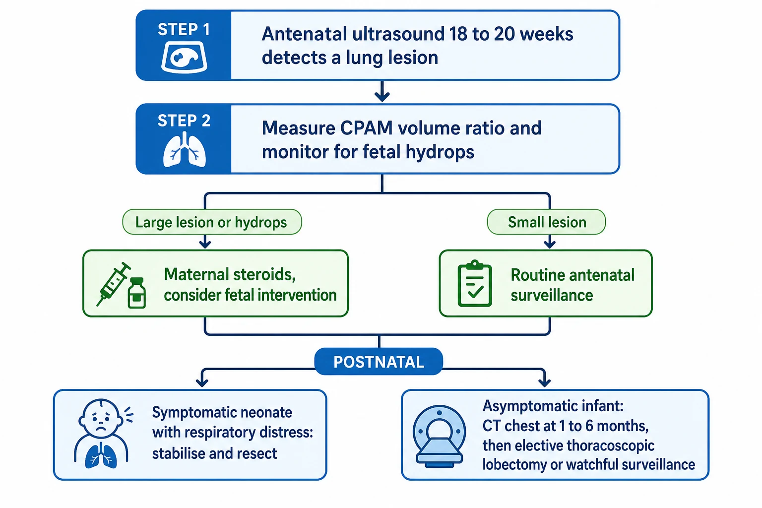 Stepwise management algorithm for congenital lung and airway malformations from antenatal detection through CPAM volume ratio monitoring to postnatal symptomatic resection or asymptomatic surgery versus surveillance