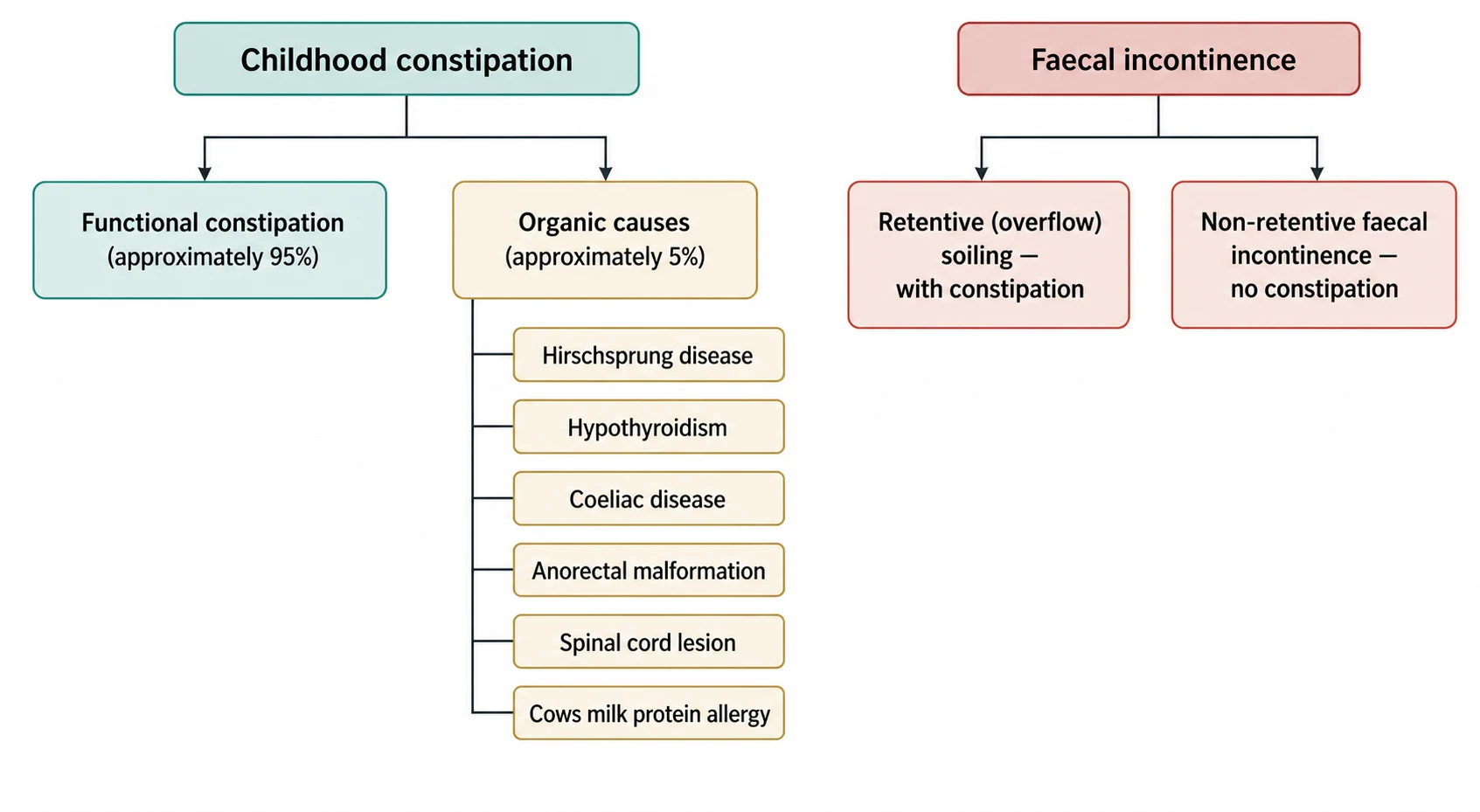 Classification diagram splitting childhood constipation into functional constipation (about 95 per cent) and organic causes (about 5 per cent) such as Hirschsprung disease, hypothyroidism, coeliac disease, anorectal malformation, spinal cord lesion, and cows milk protein allergy, with faecal incontinence divided into retentive overflow soiling and non-retentive faecal incontinence.