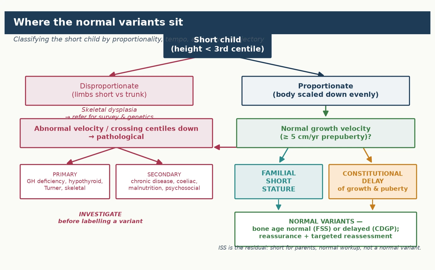 Classification of short stature by proportionality and growth velocity, separating the normal variants (familial short stature with normal bone age, constitutional delay of growth and puberty with delayed bone age) from the pathological causes (primary endocrine, secondary systemic, and skeletal dysplasia), with idiopathic short stature shown as the residual category