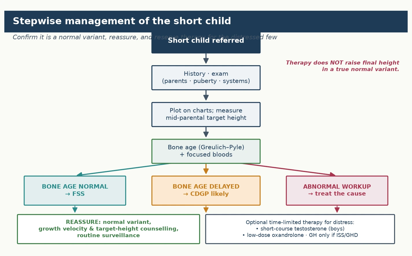 Stepwise management algorithm for a short child, from referral through history, examination, growth-chart plotting, bone age and focused bloods, to a three-way branch: bone age normal pointing to familial short stature managed with reassurance and surveillance, bone age delayed pointing to constitutional delay managed with reassurance plus optional time-limited testosterone or oxandrolone for pubertal distress, and abnormal workup pointing to disease-specific treatment