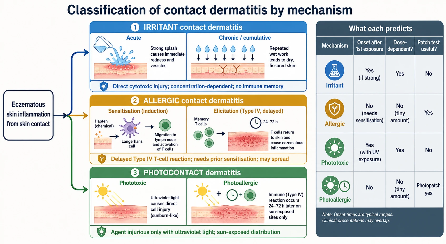 Educational schematic classifying contact dermatitis by mechanism into irritant (acute and chronic cumulative), allergic (delayed type IV, sensitisation then elicitation), and photocontact (phototoxic and photoallergic), with a side panel contrasting the key features of each — onset after first exposure, dose dependence, morphology, and whether patch testing is useful