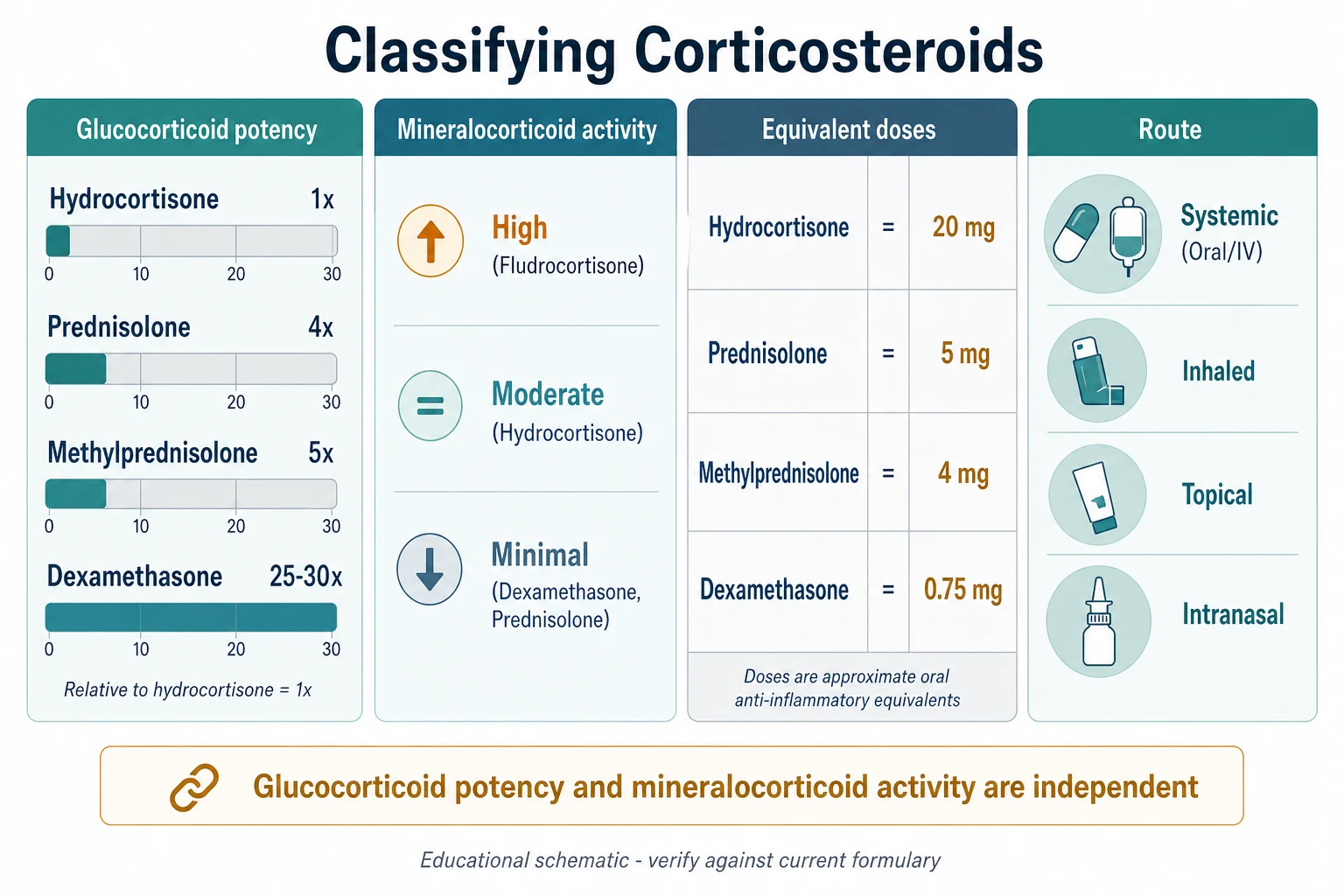 Educational infographic classifying corticosteroids into four columns: glucocorticoid potency gauges, mineralocorticoid activity bands, an equivalent-dose table (hydrocortisone 20 mg equals prednisolone 5 mg equals methylprednisolone 4 mg equals dexamethasone 0.75 mg), and route icons (systemic, inhaled, topical, intranasal)